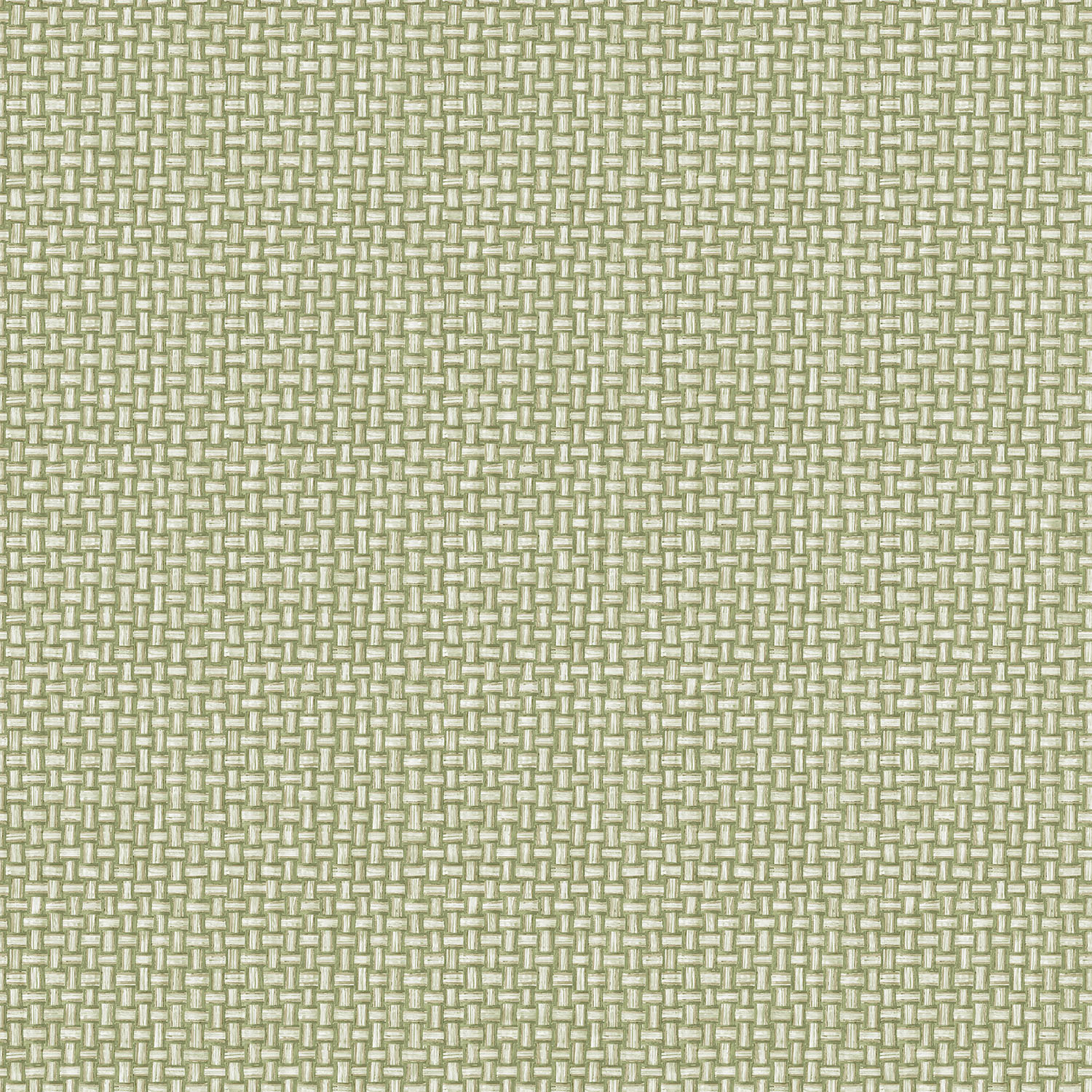 Tapet Holden The Lost Gardens Biderbost Weave Green 91601