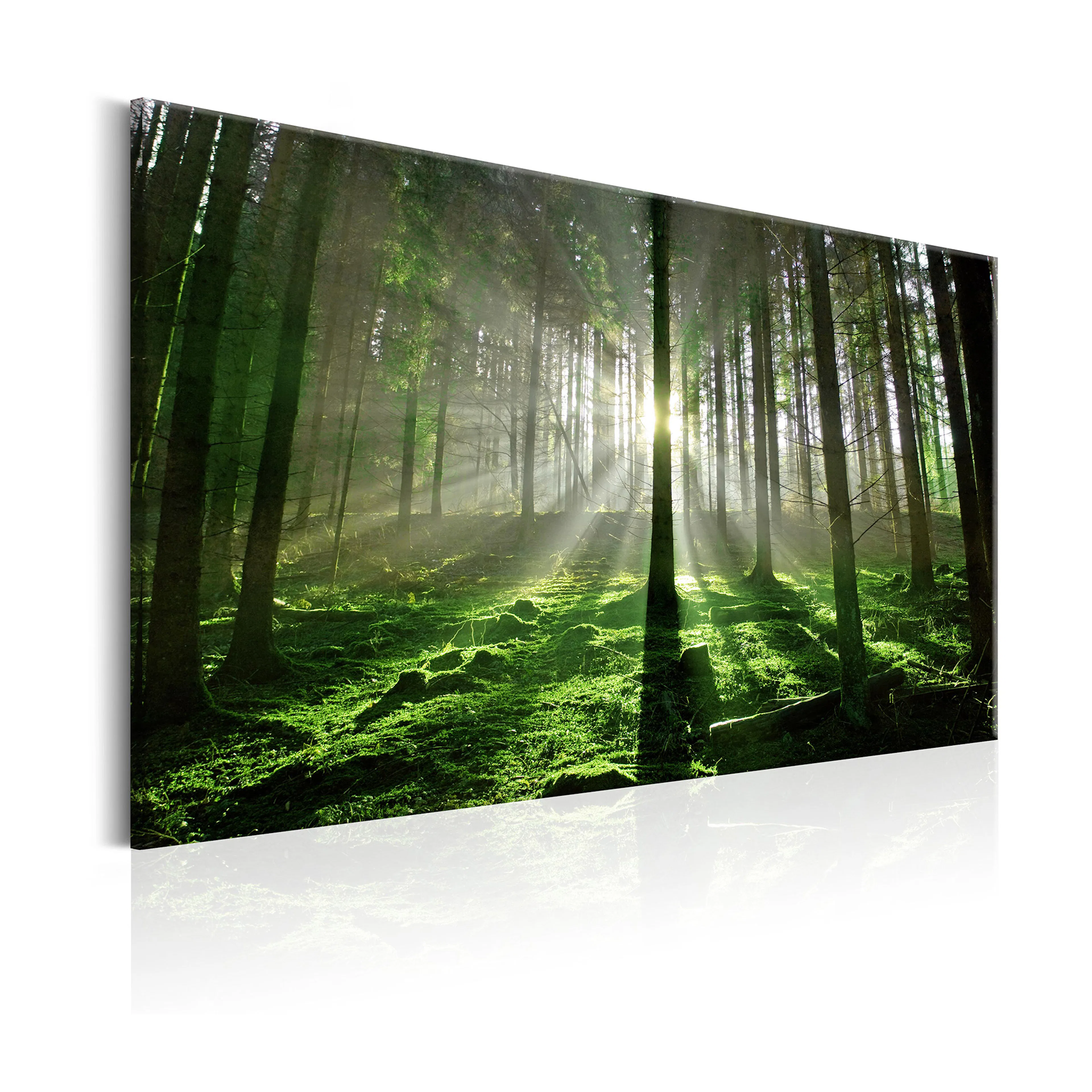 Tavla Arkiio Emerald Forest II