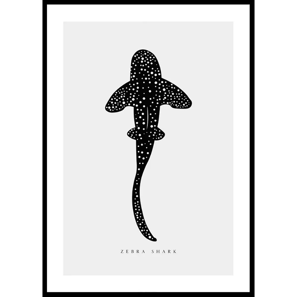 Poster Gallerix Zebra Shark