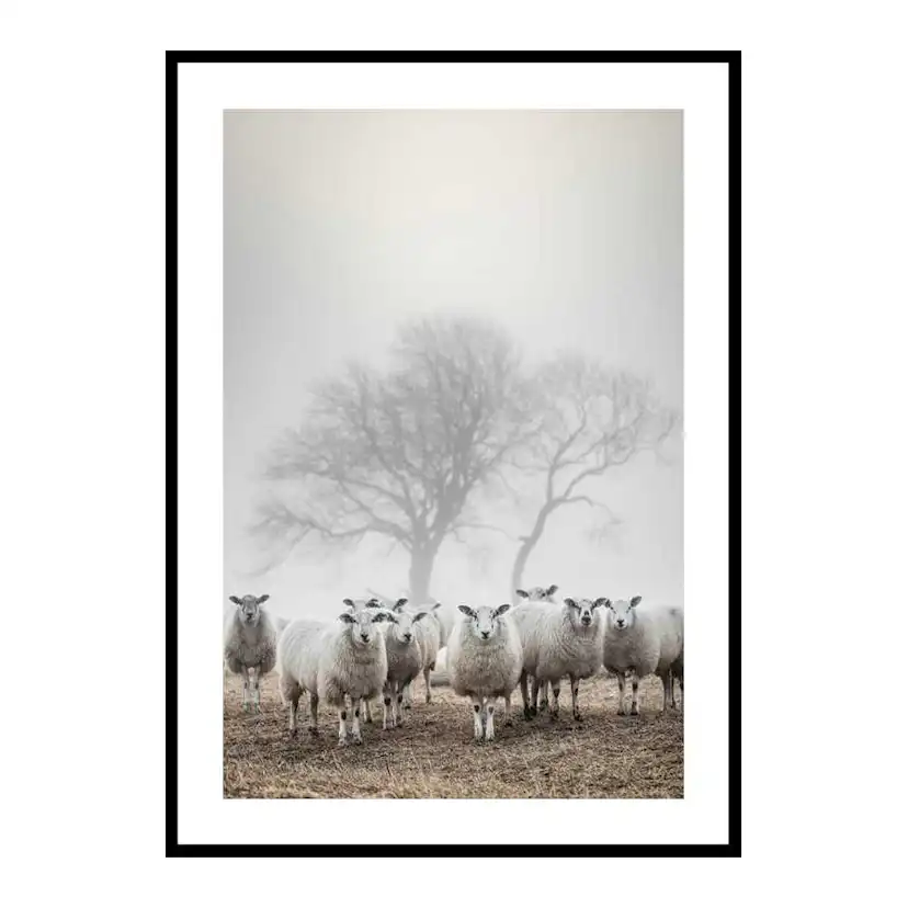 Poster Gallerix Sheep In Fog