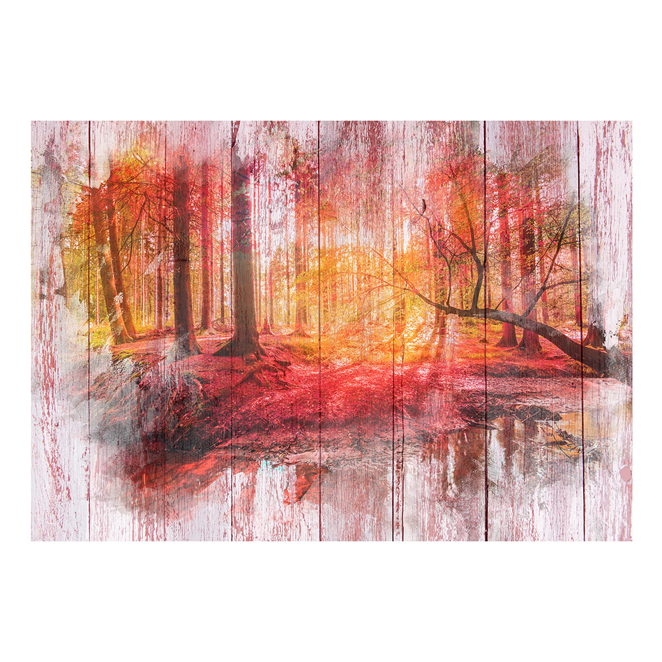 Fototapet Arkiio Autumnal Forest