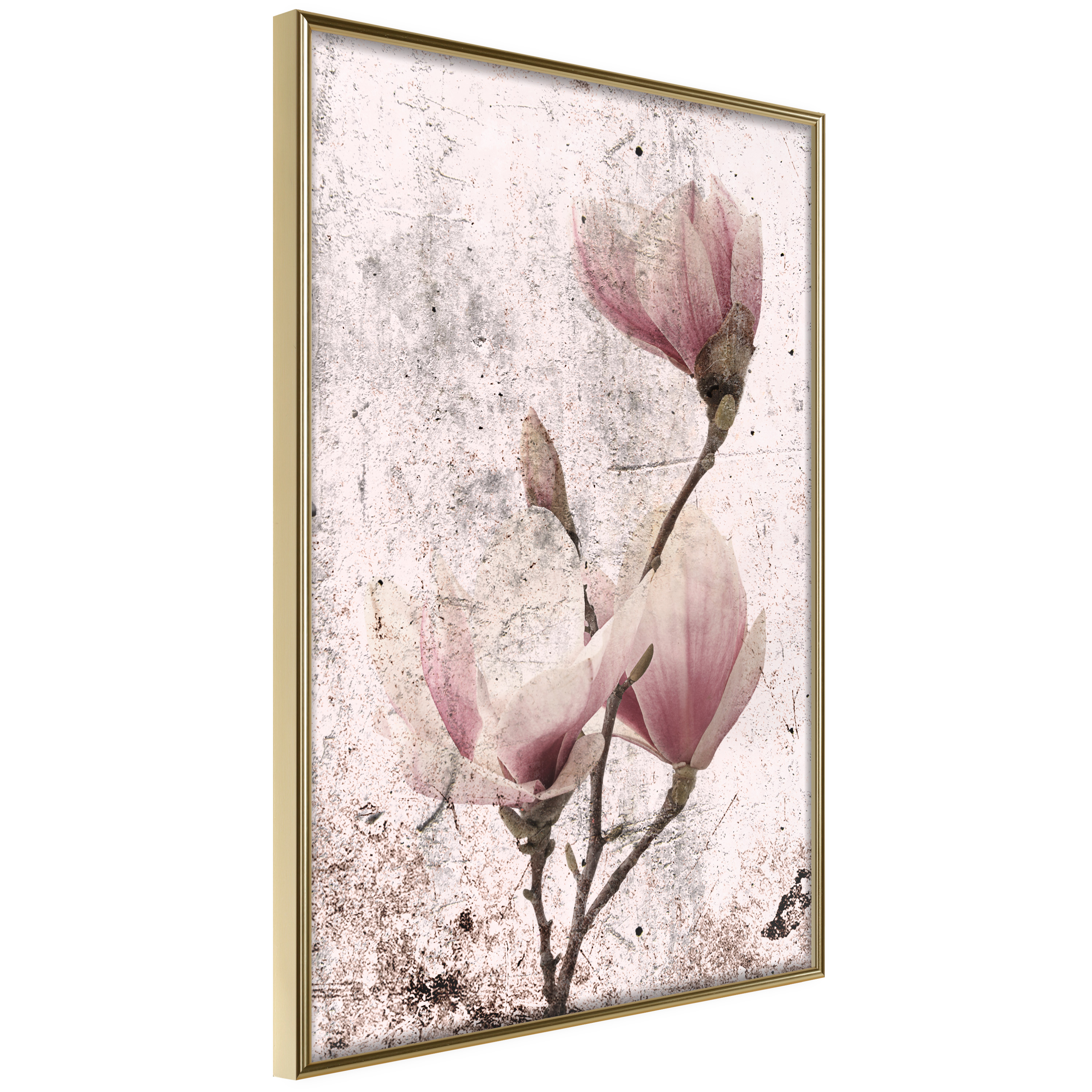 Poster Artgeist Affisch Mature Magnolia