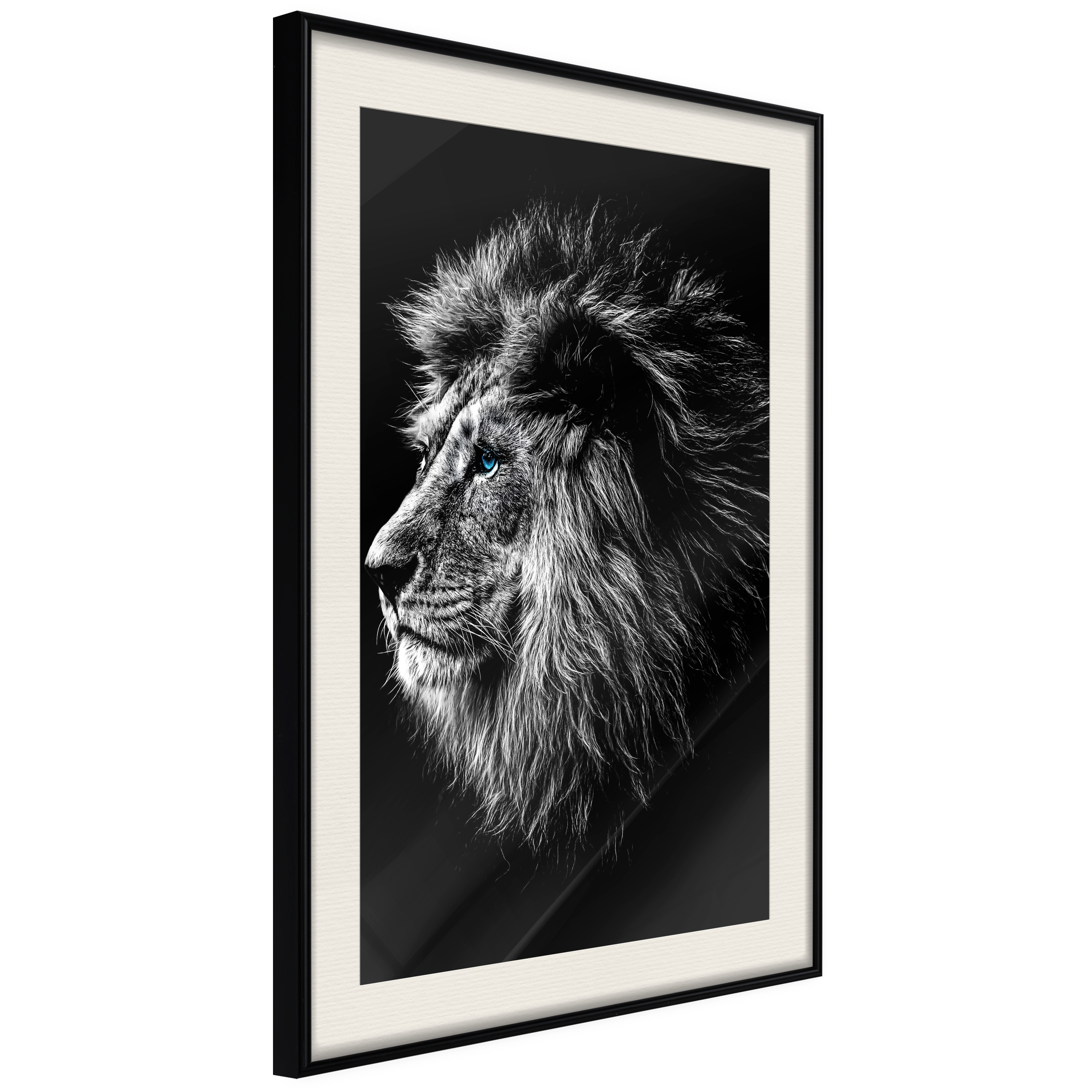 Poster Artgeist Affisch Blue-eyed Lion