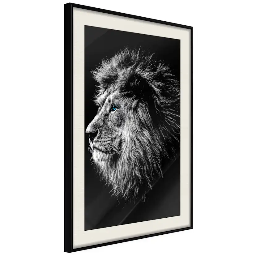 Poster Artgeist Affisch Blue-eyed Lion