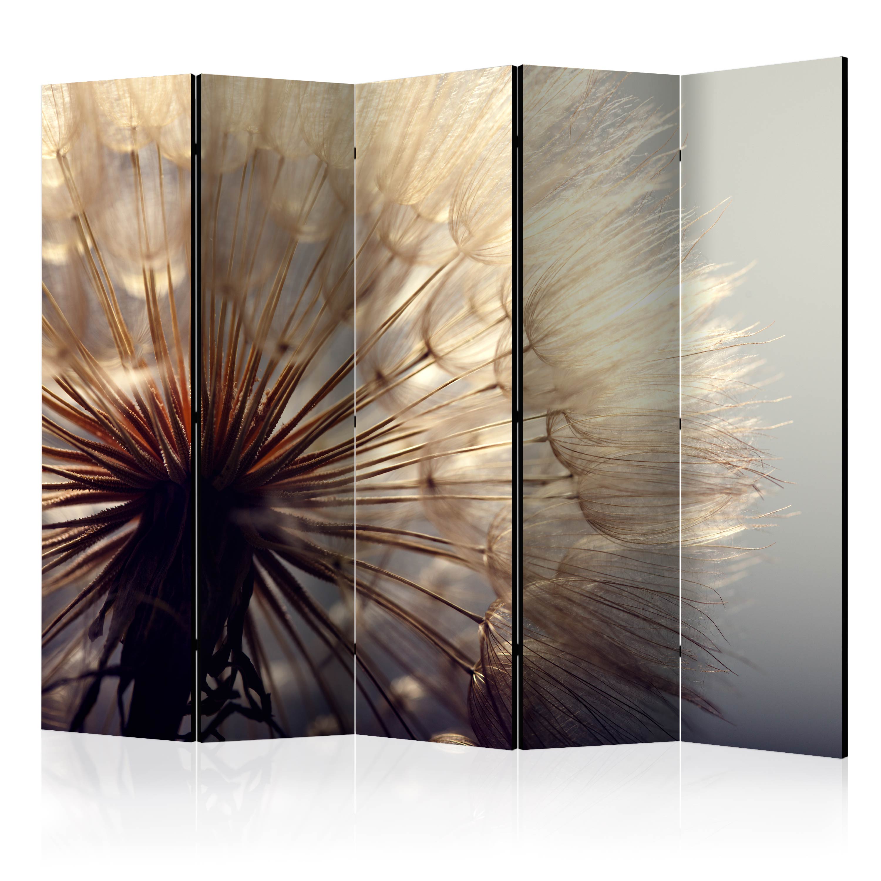 Rumsavdelare Arkiio Dandelion Kiss II 225x172 cm