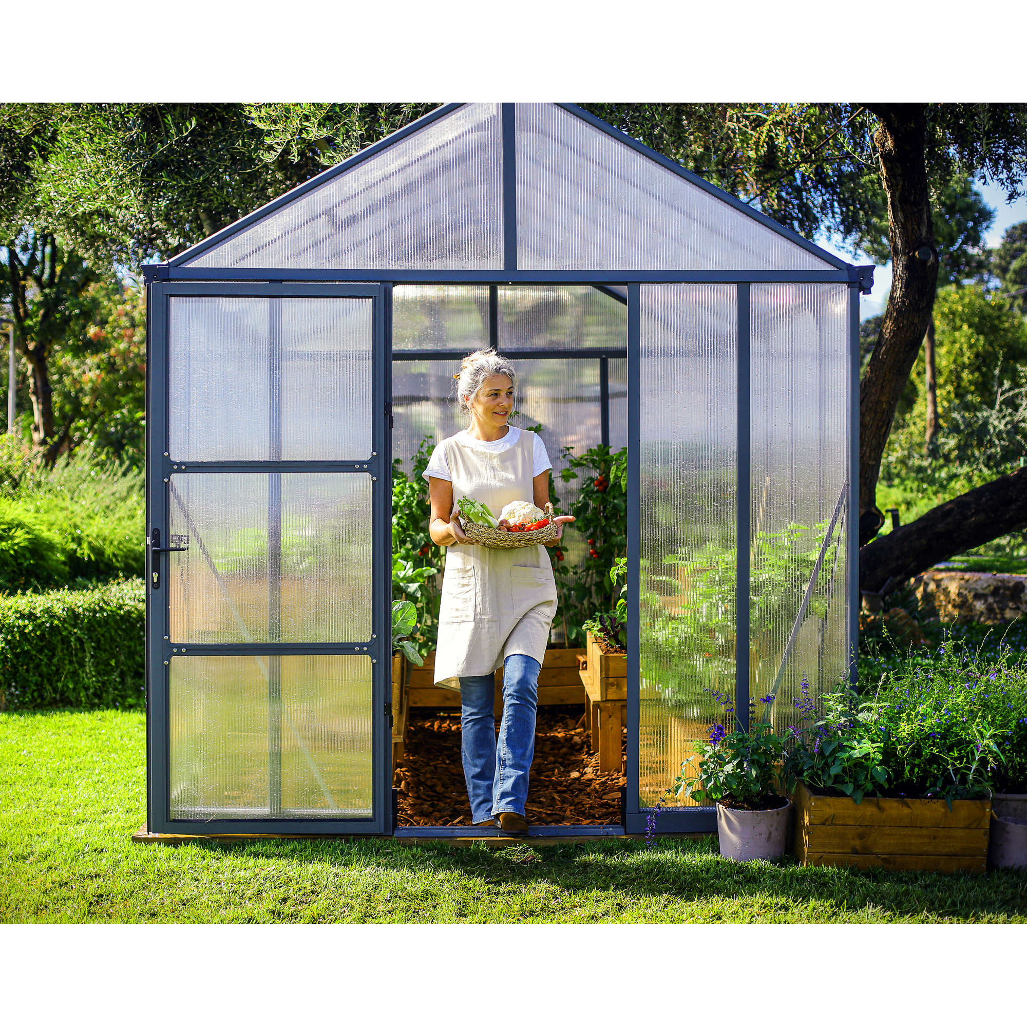 Växthus Canopia by Palram Glory 15,3 m² Mörkgrå