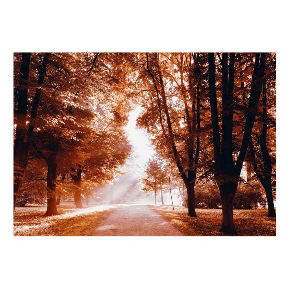 Självhäftande fototapet - Autumn Park 98x70 Storlek: 98x70 cm