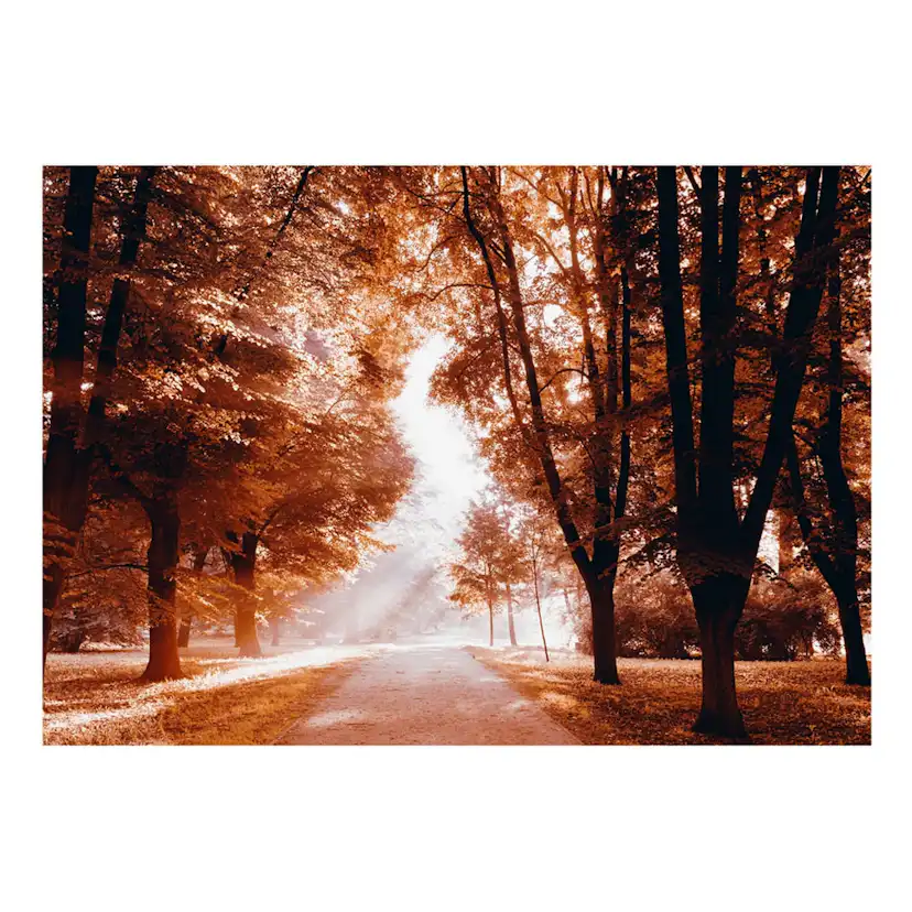 Självhäftande fototapet - Autumn Park 98x70 Storlek: 98x70 cm