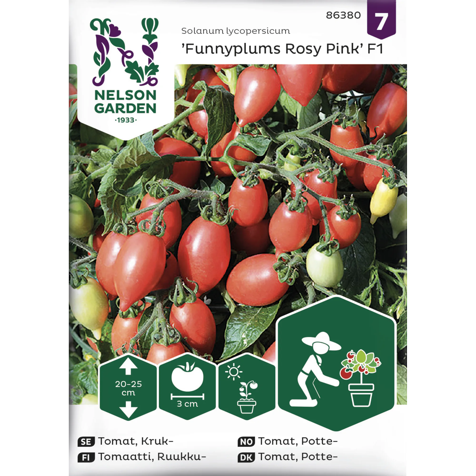Frö Nelson Garden Tomat Funnyplums Rosy Pink F1 Kruktomat