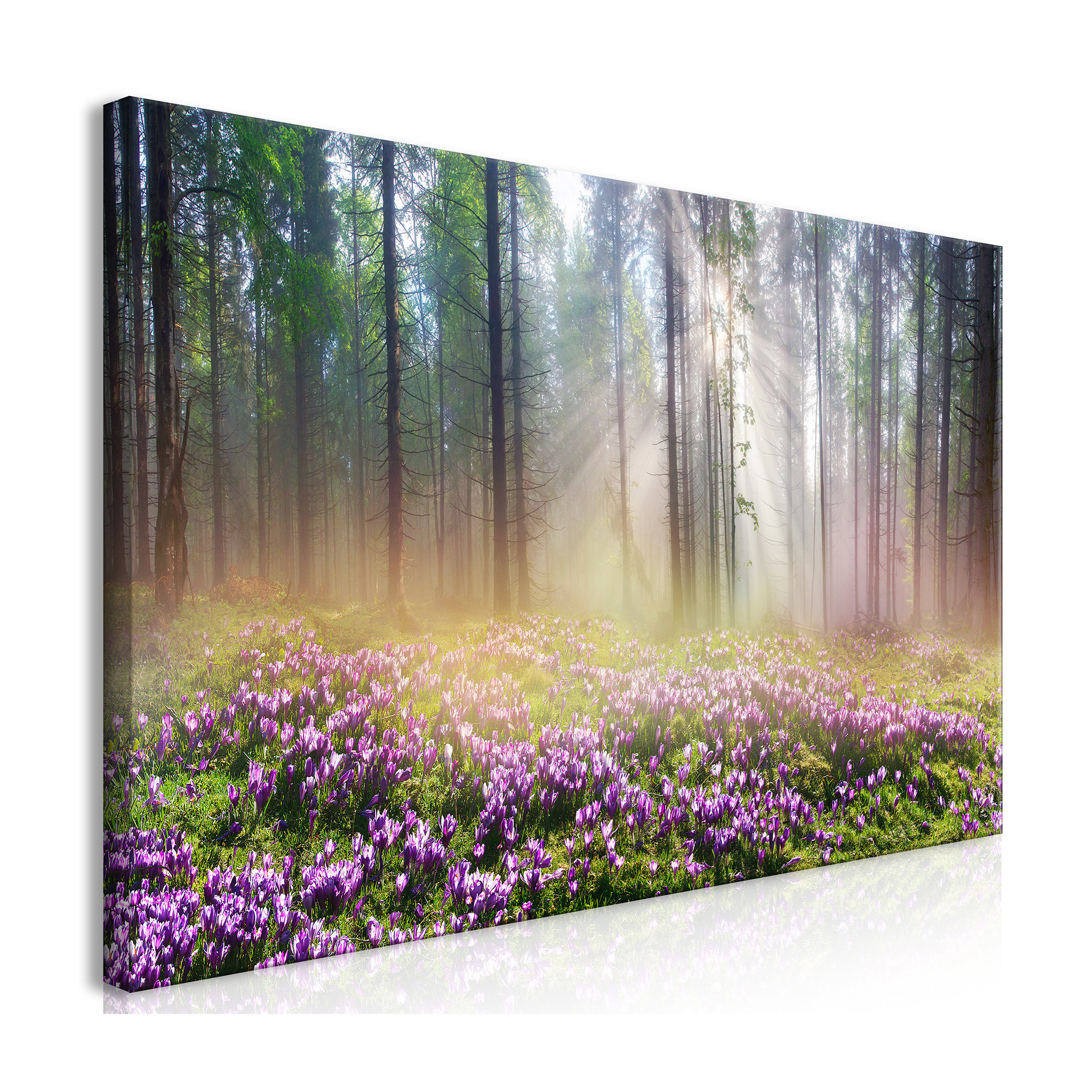 Tavla Arkiio Purple Meadow