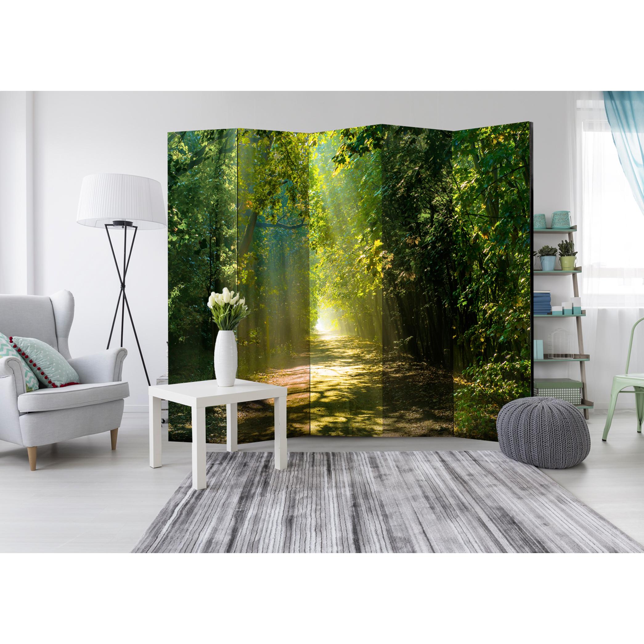Rumsavdelare Arkiio Road in Sunlight II 225x172 cm