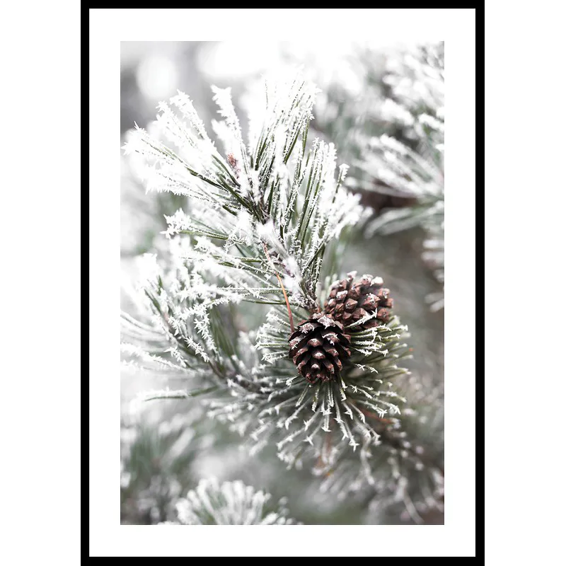 Snowy Fir Branch 70x100 70x100 cm