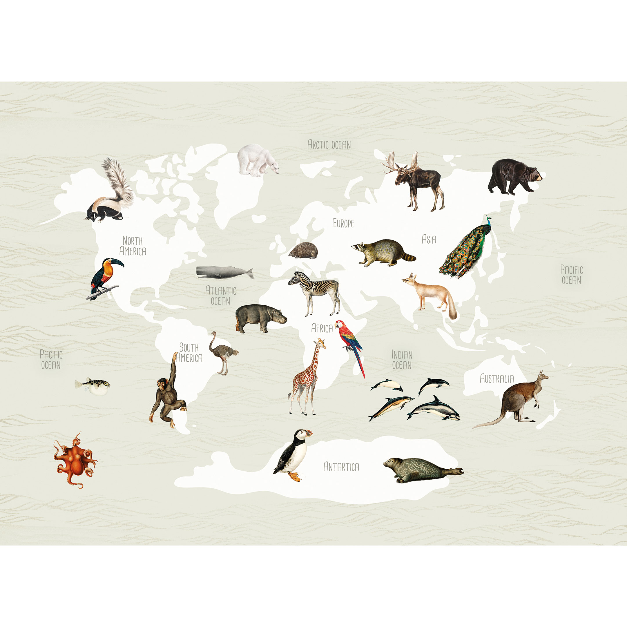 Hängande Affisch Art for the Home World Map Animals 70x100