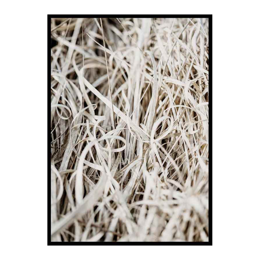 Grass 30x40 cm