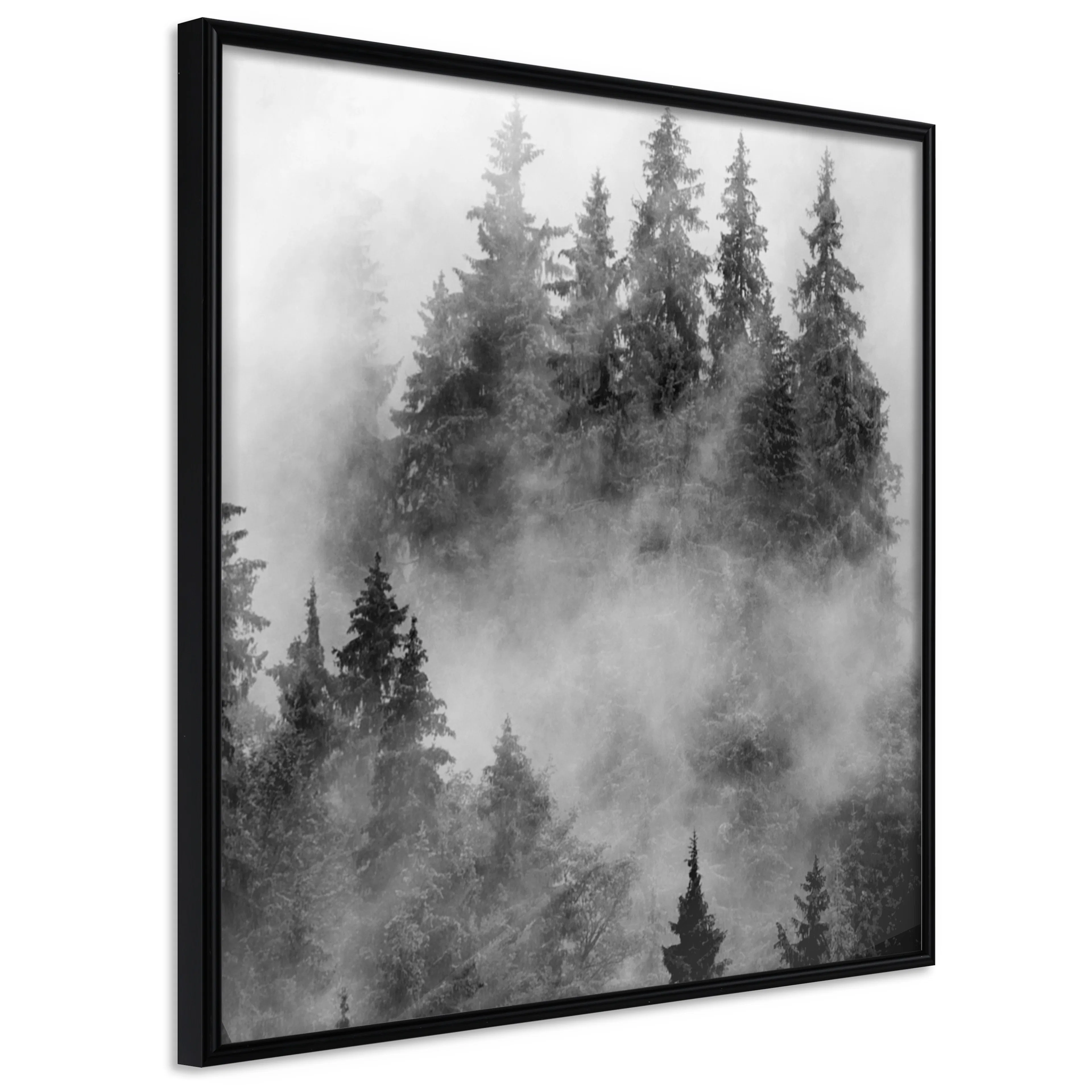 Affisch - Black Forest [Poster] 20x20 Svart ram, 20x20 cm
