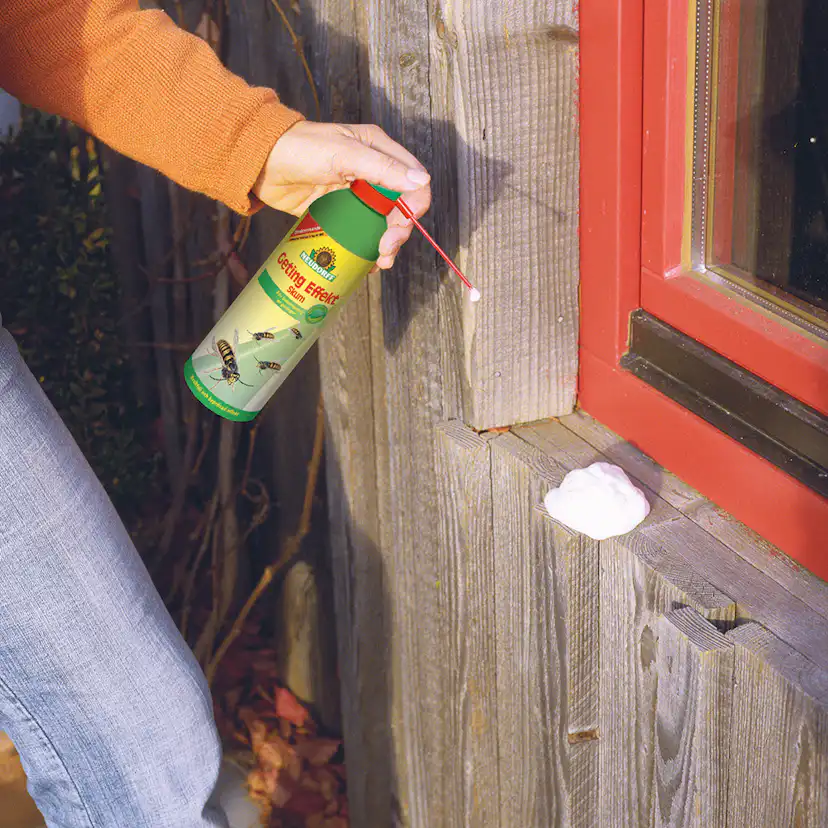 Getingbekämpning Neudorff Effekt Skum 300 ml