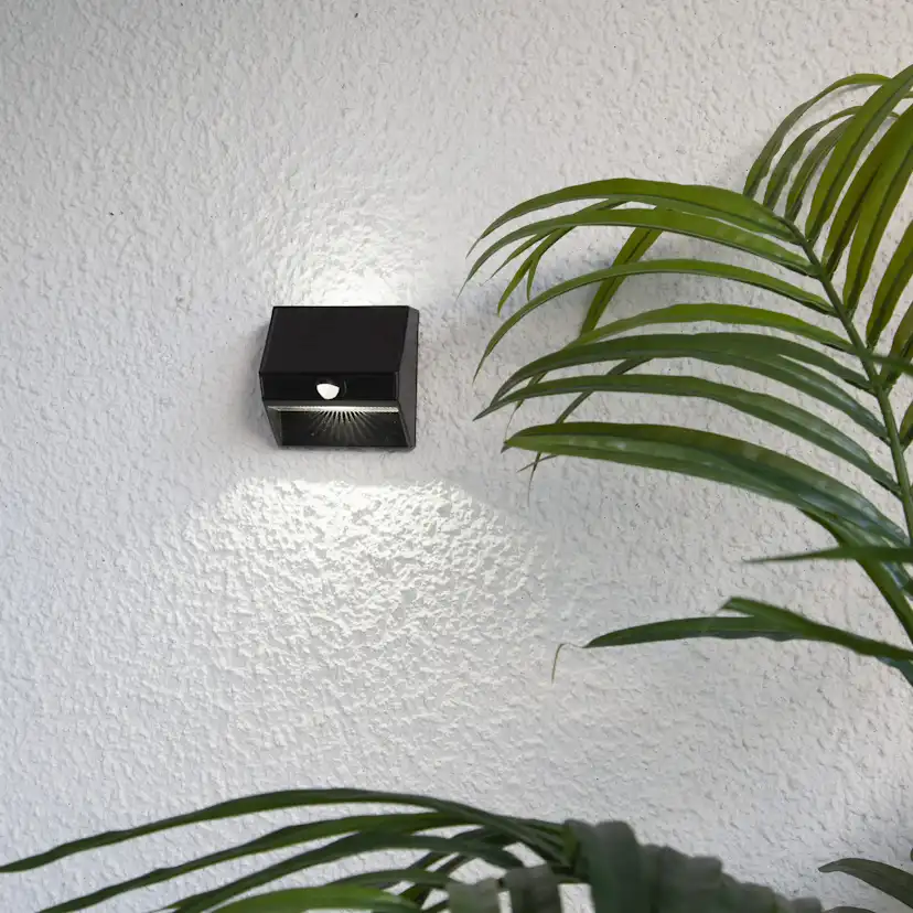 Solcells-Vägglykta Star Trading Wally 50/5 lumen