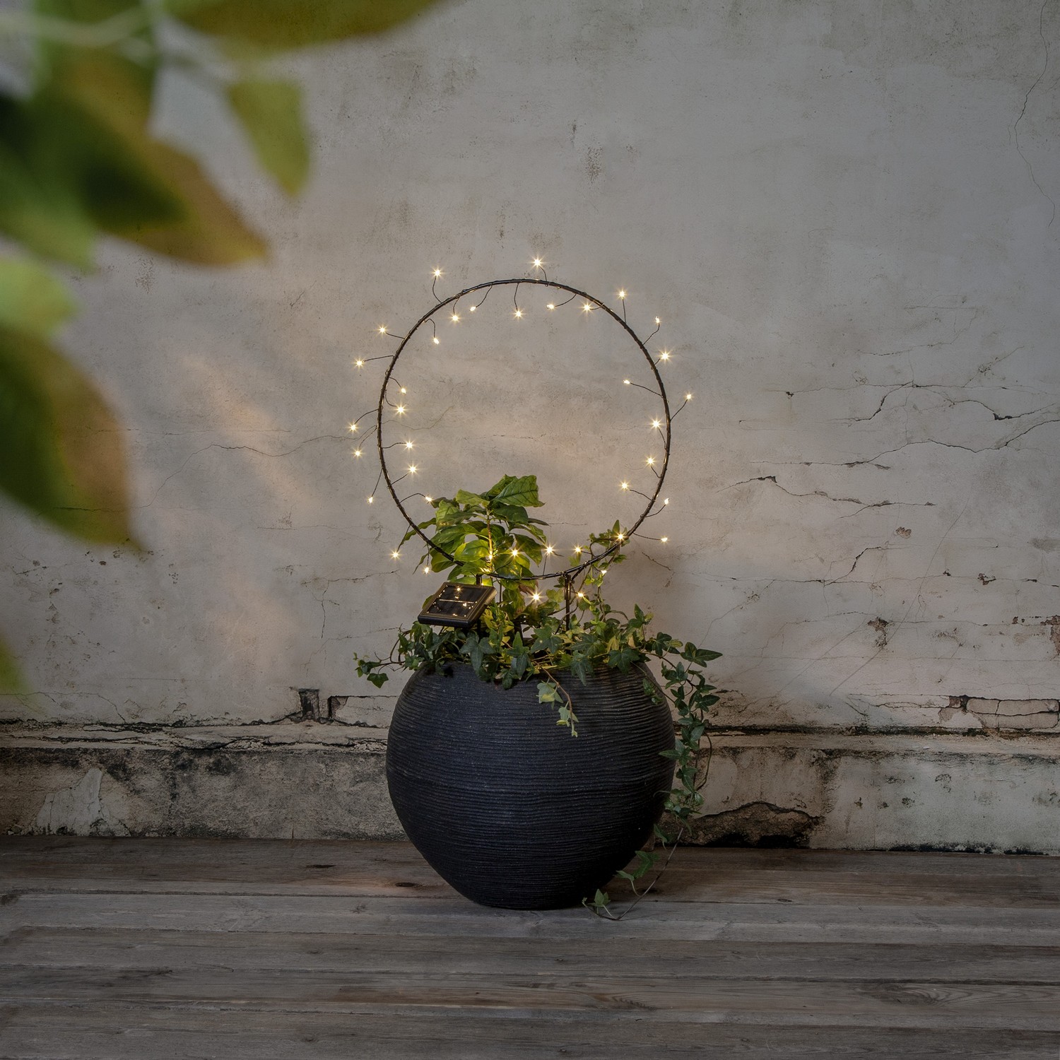 Solcellsdekoration Star Trading Barlumi 40  cm 40L