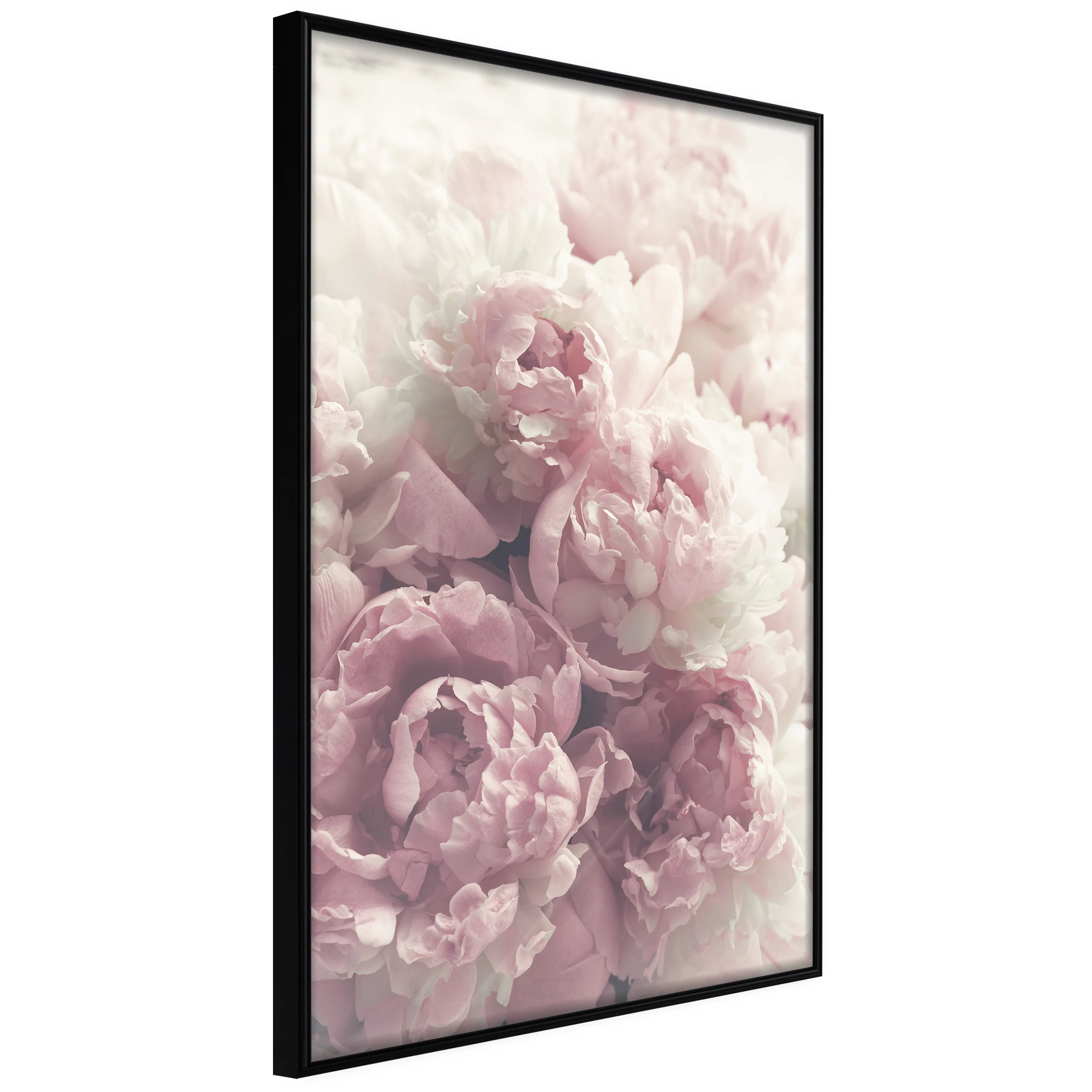 Poster Artgeist Affisch Delicate Peonies