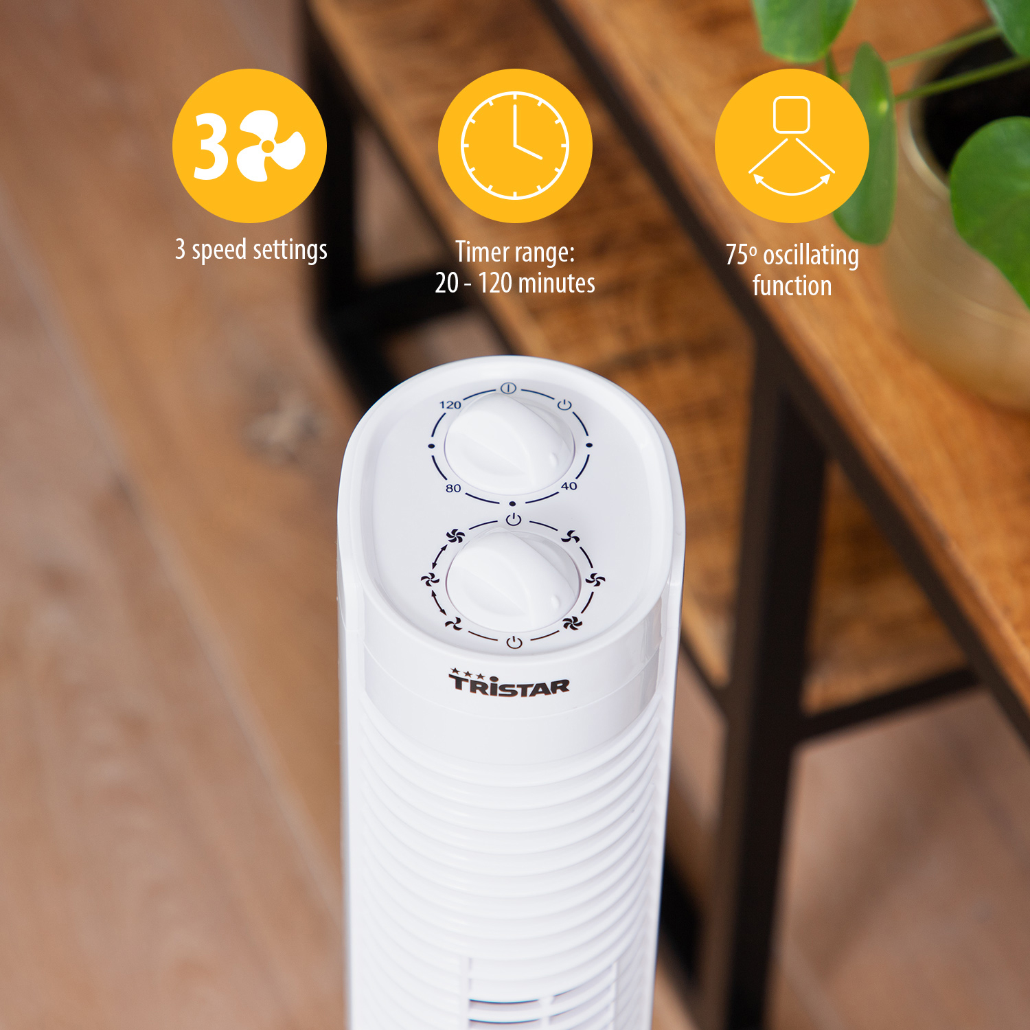 Pelarfläkt Tristar med Timer