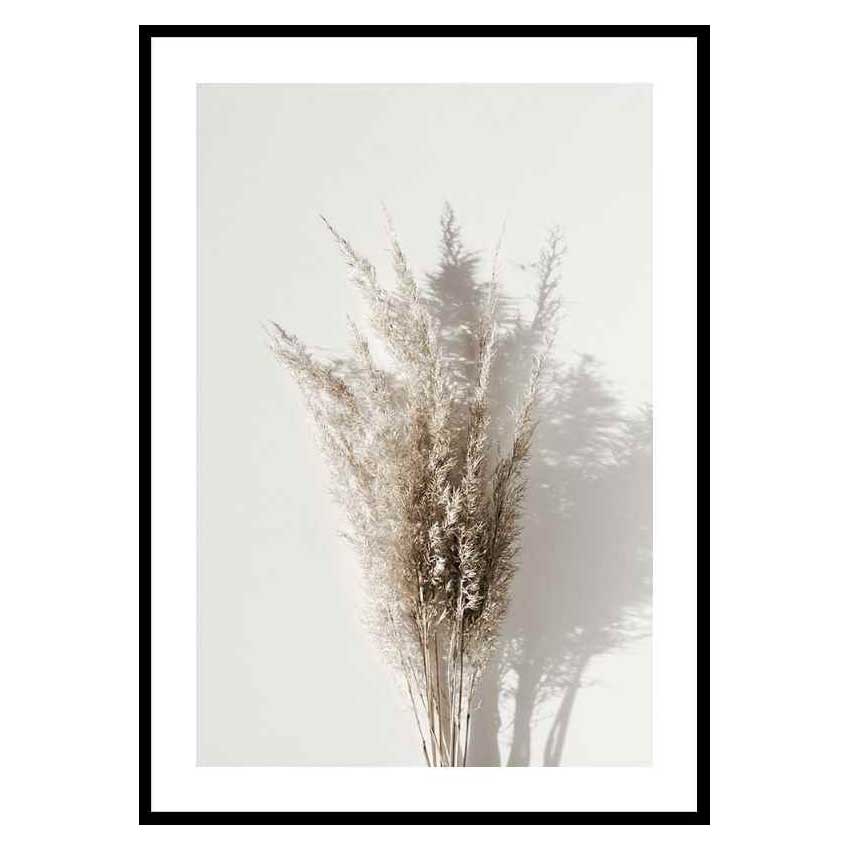 Poster Gallerix Dry Reeds No1