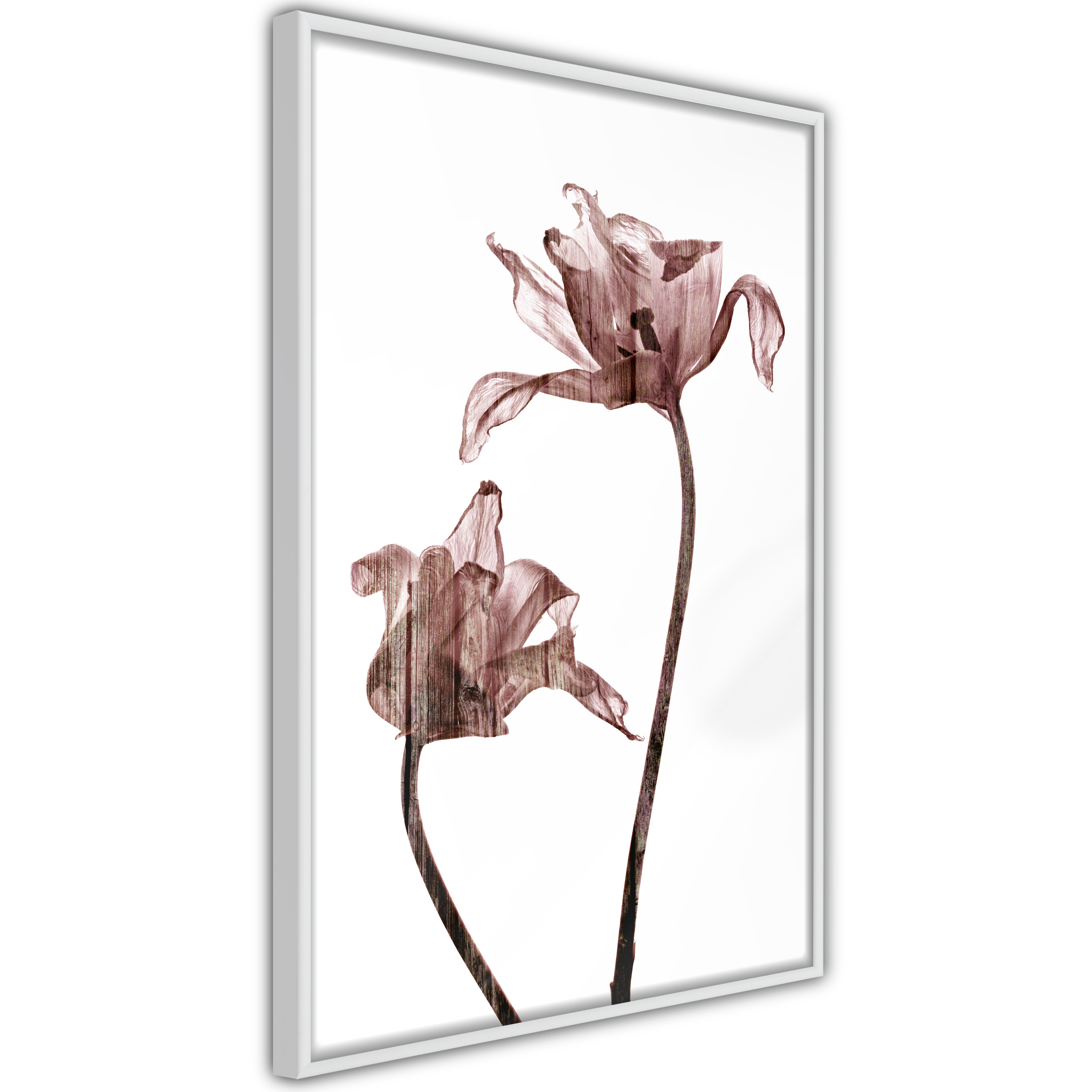 Poster Artgeist Affisch Illuminated Closeness