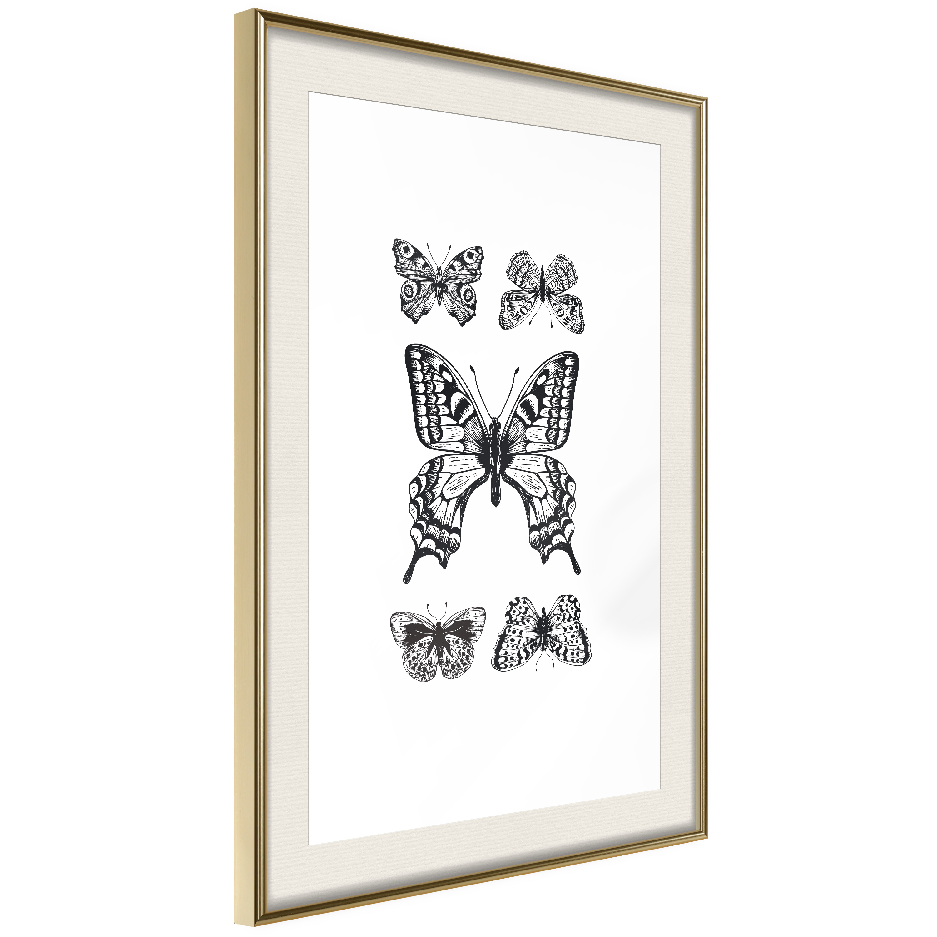 Affisch - Five Butterflies [Poster] 30x45 Guld ram med passepartout, 30x45 cm