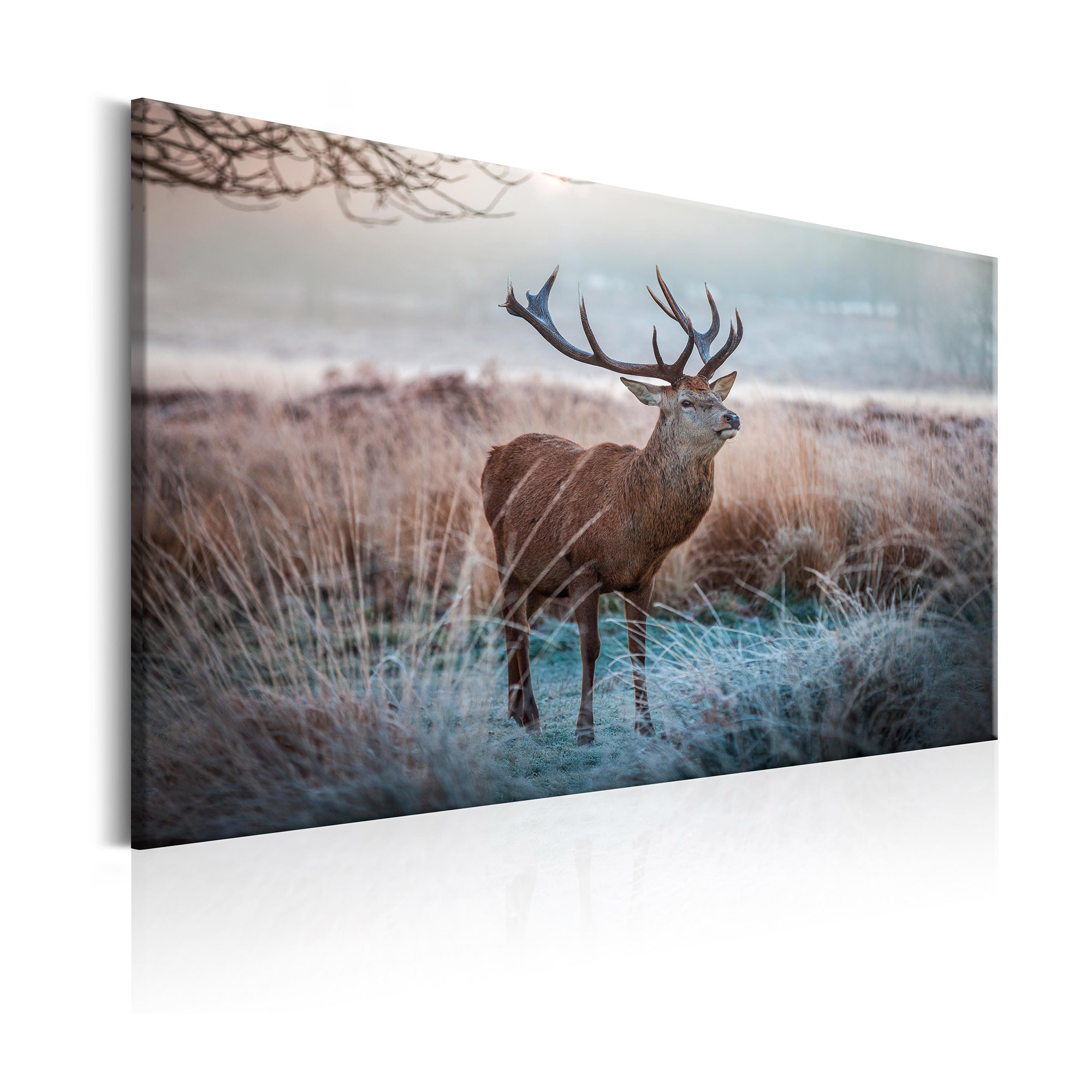 Tavla Arkiio Wild Animal