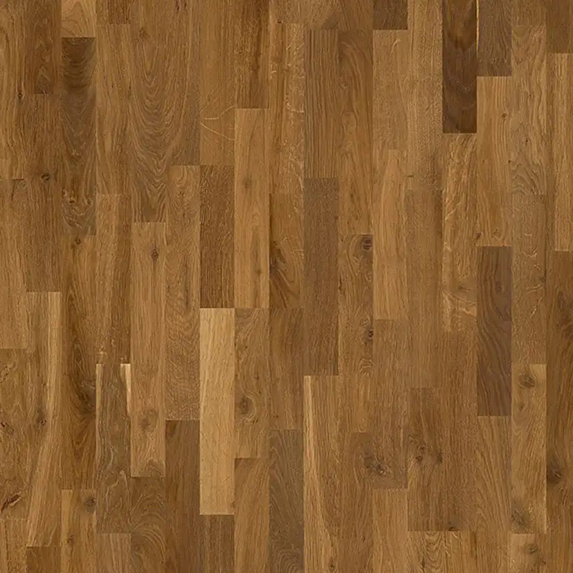 Trappnos Berg Berg Ek L Lappland Borstad Naturolja Trapp A