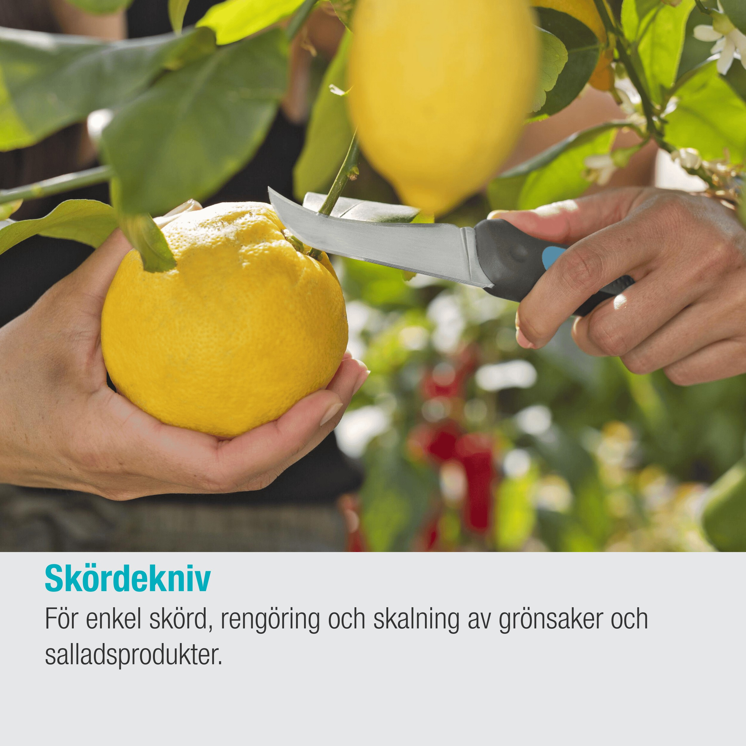 Skördekniv Gardena VeggieCut
