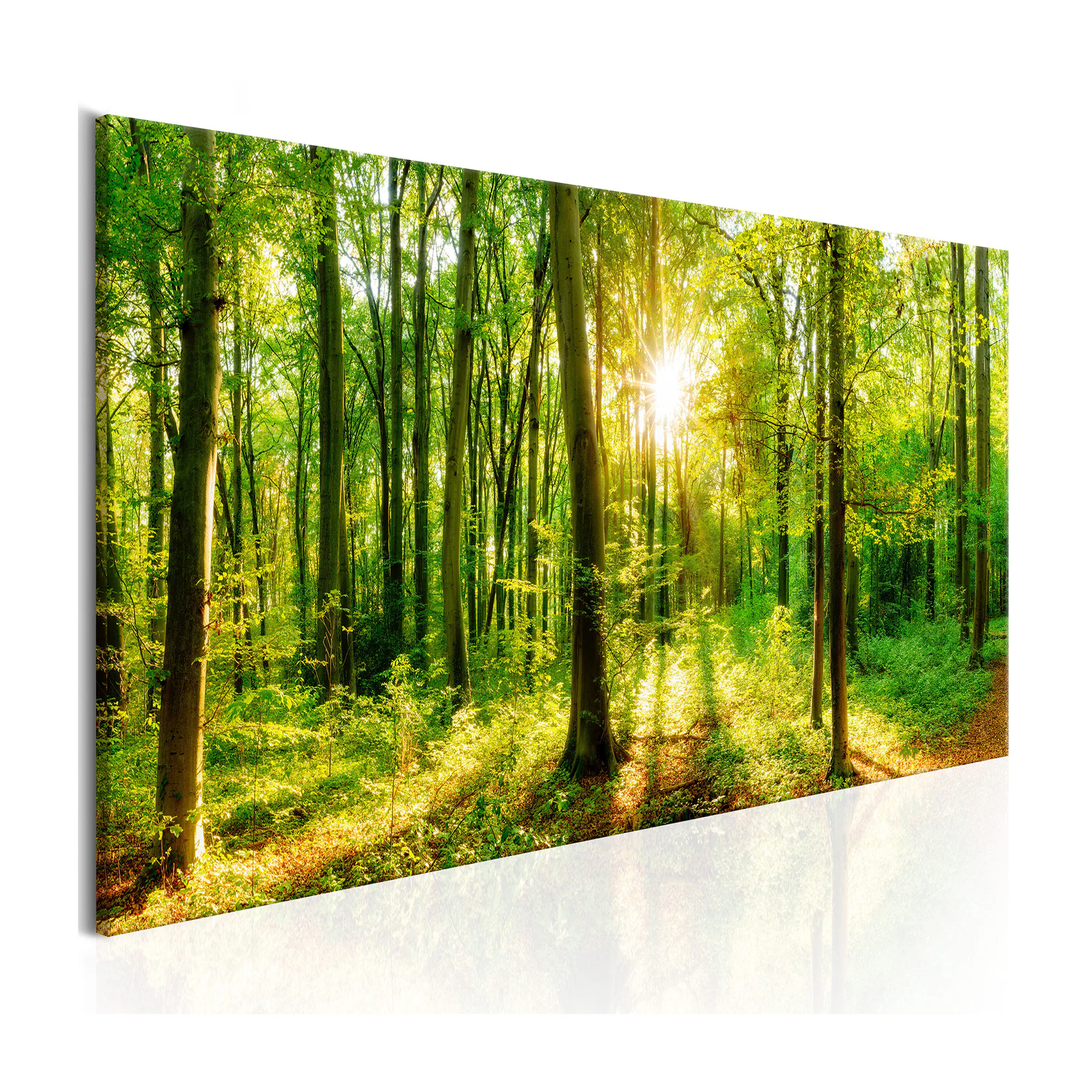 Tavla Arkiio Green Magic