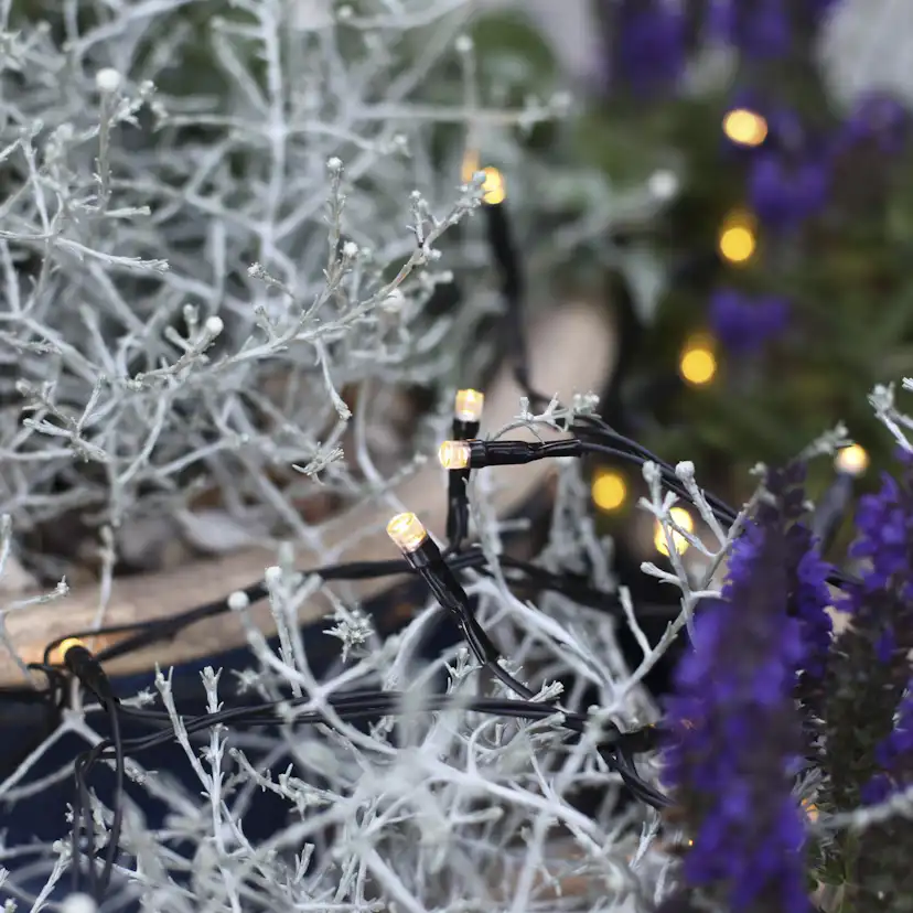 Ljusslinga Star Trading Extra System Decor 100L