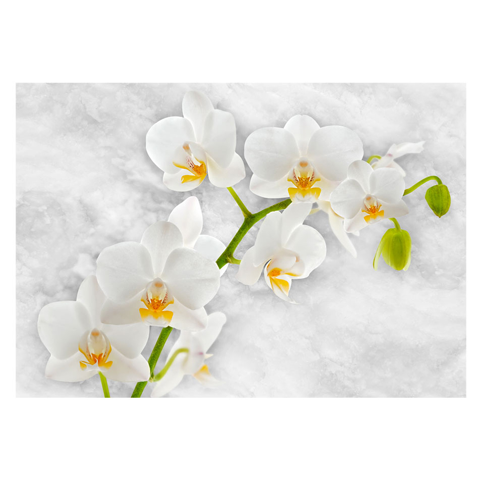 Fototapet Arkiio Lyrical Orchid White