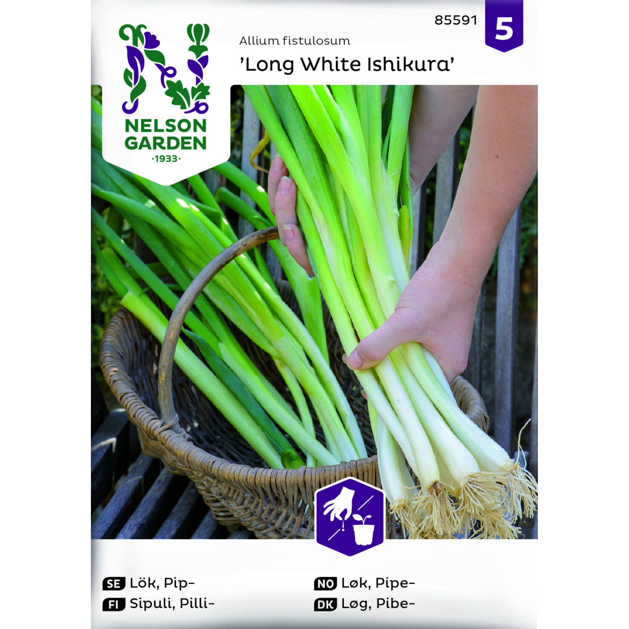 Frö Nelson Garden Lök Pip Long White Ishikura