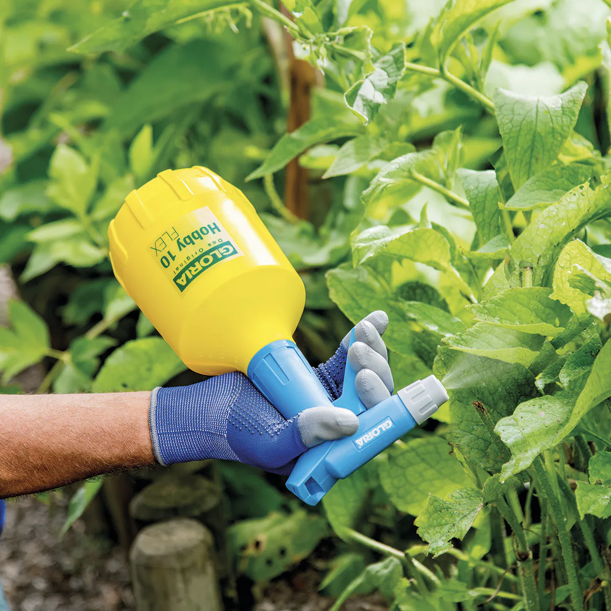 Handspruta Gloria Hobby 5 Flex