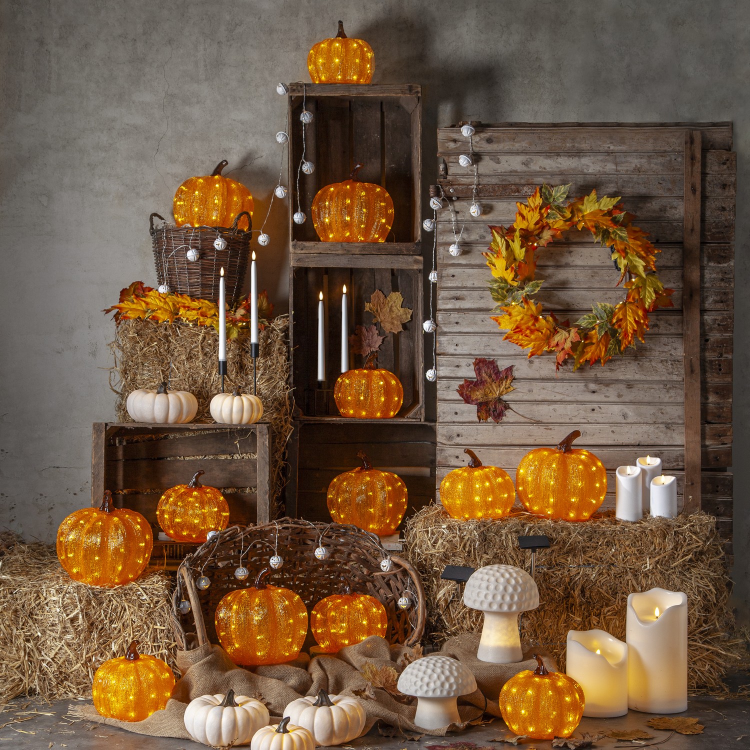 Krans Star Trading Autumn