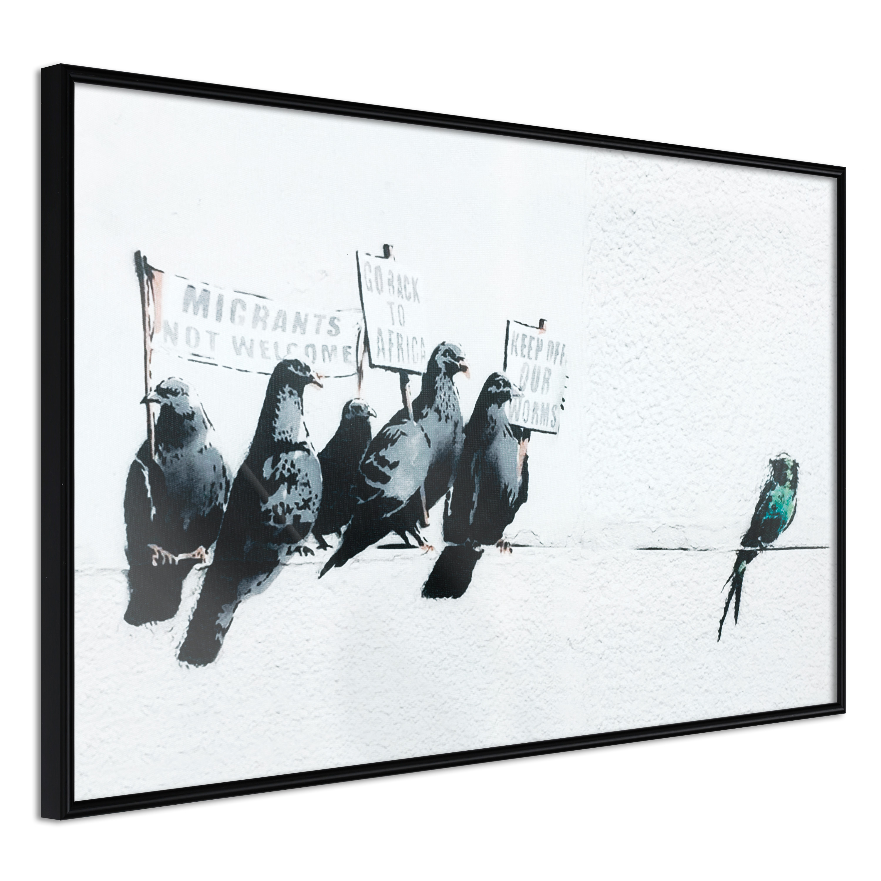 Affisch - Xenophobic Pigeons [Poster] 45x30 Svart ram, 45x30 cm