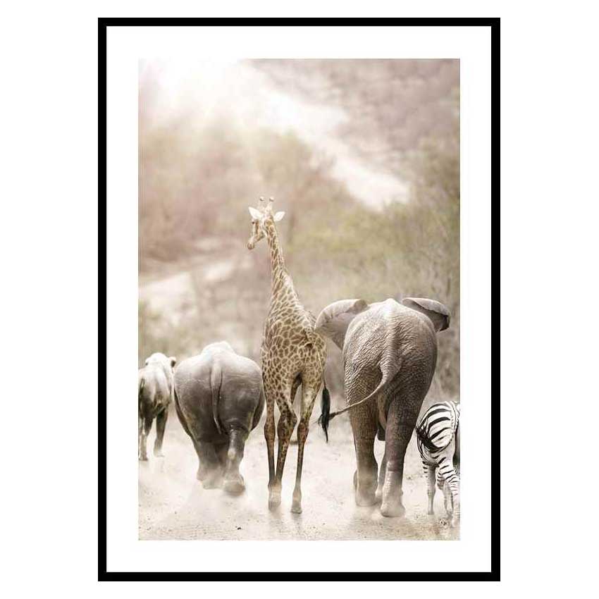 Poster Gallerix Wild African Animals