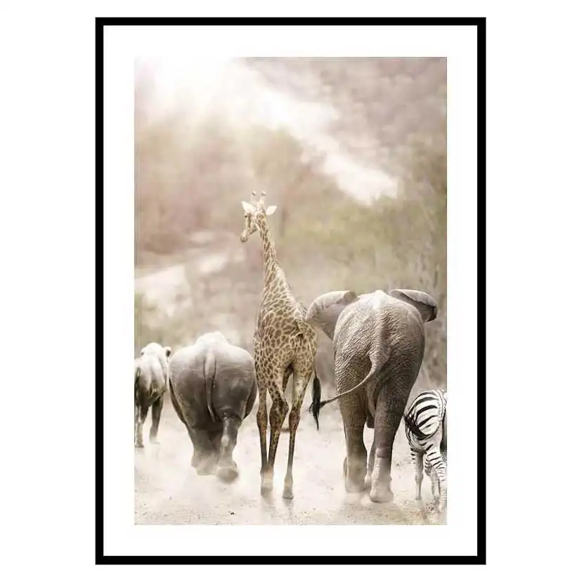 Poster Gallerix Wild African Animals