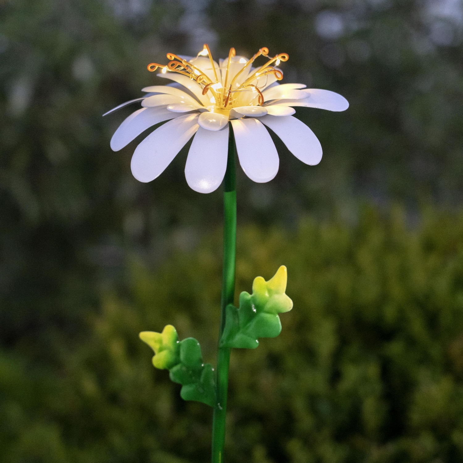 Solcellsdekoration Star Trading Daisy Twilight