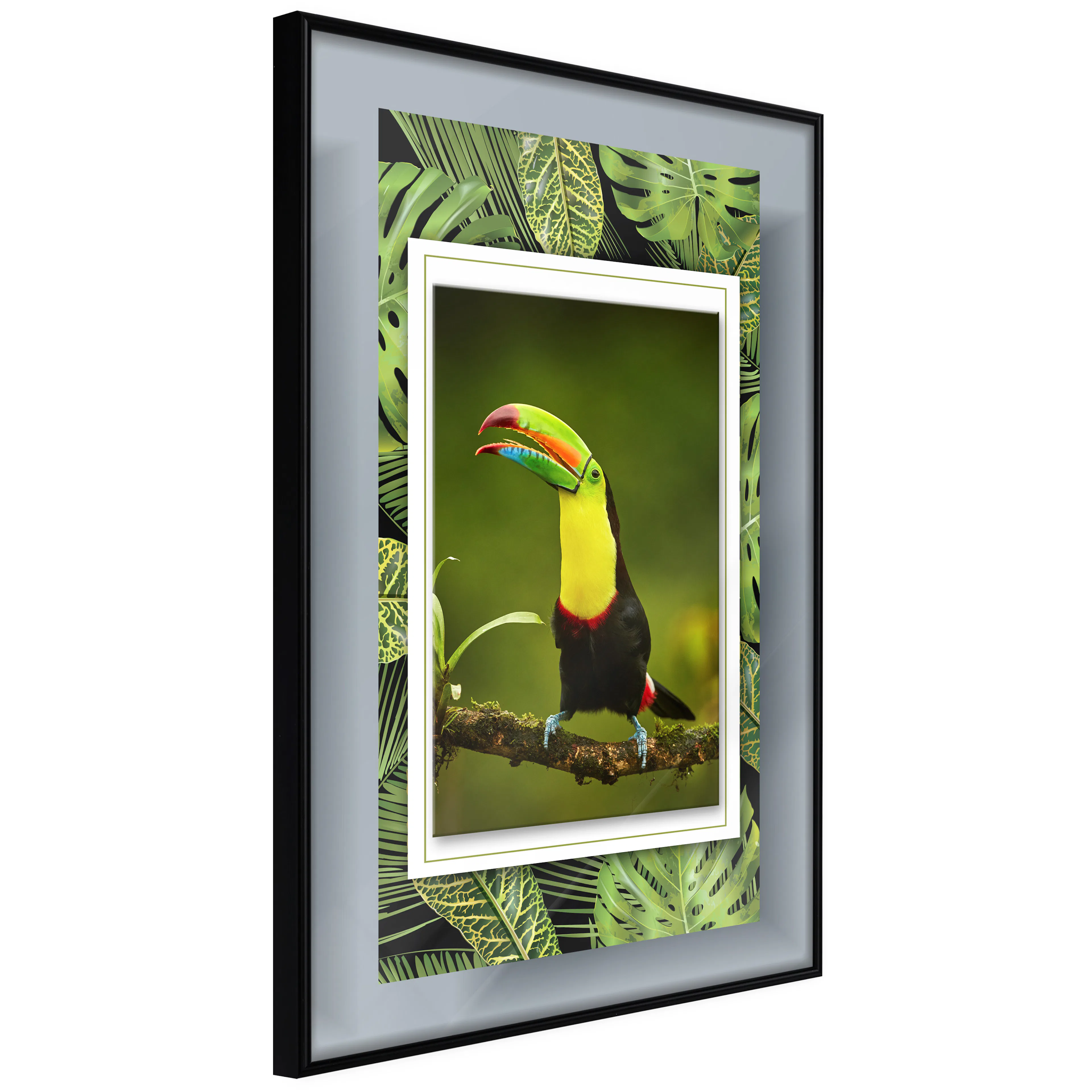 Affisch - Toucan [Poster] 20x30 Svart ram, 20x30 cm