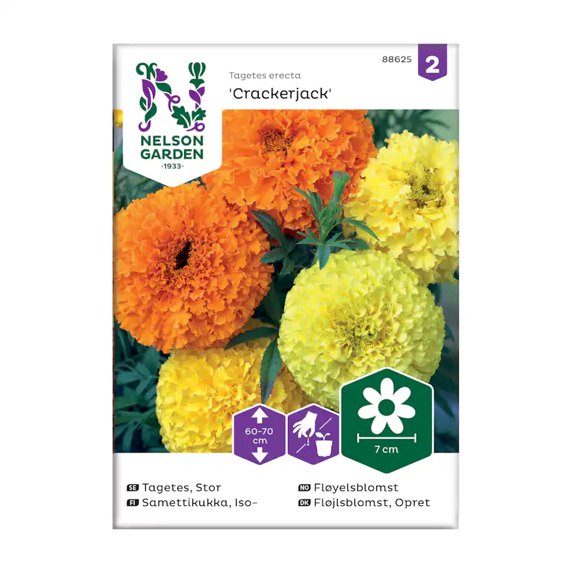 Frö Tagetes Nelson Garden Crackerjack stor