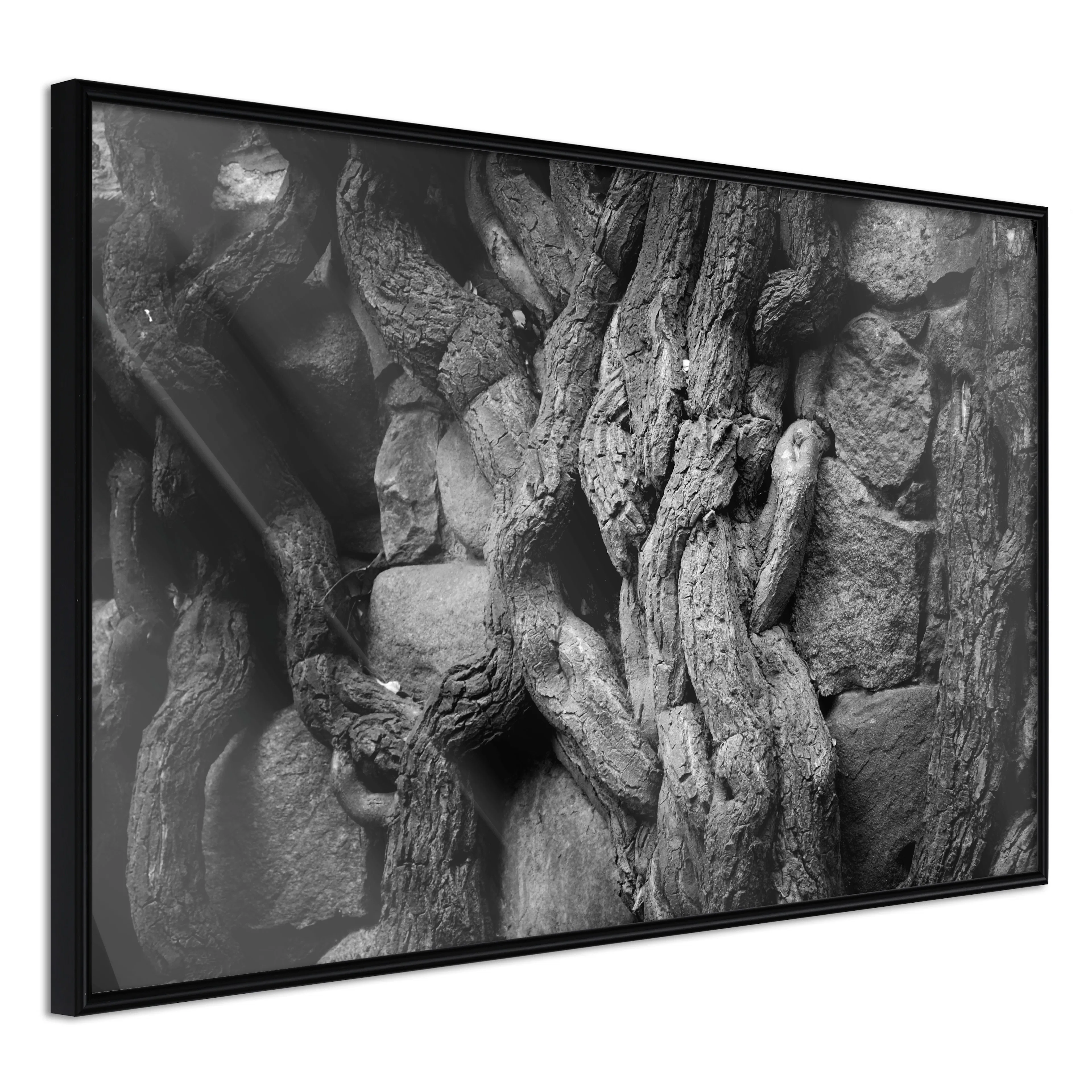 Affisch - Overgrown Stones [Poster] 60x40 Svart ram, 60x40 cm