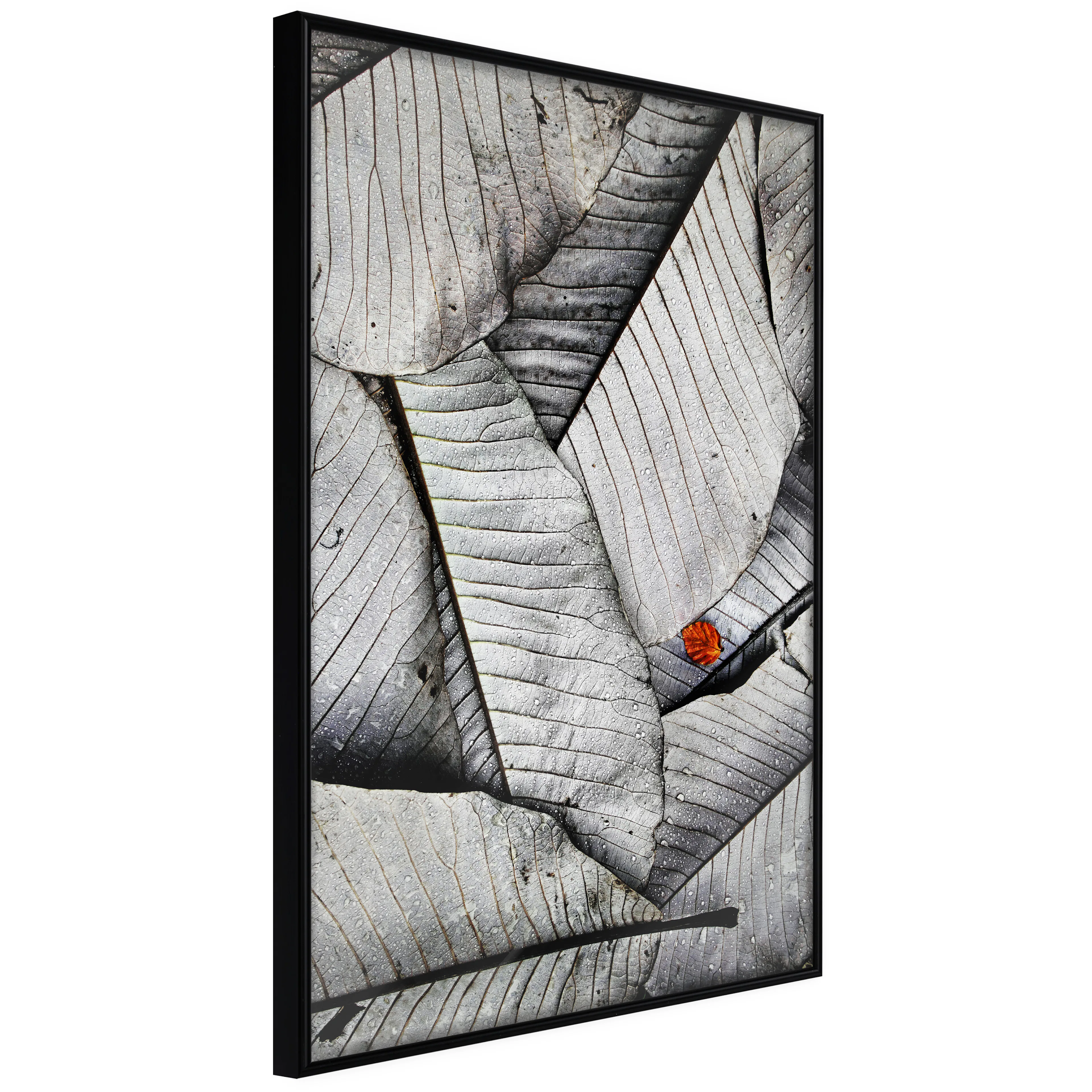 Affisch - Black And White Leaves [Poster] 40x60 Svart ram, 40x60 cm
