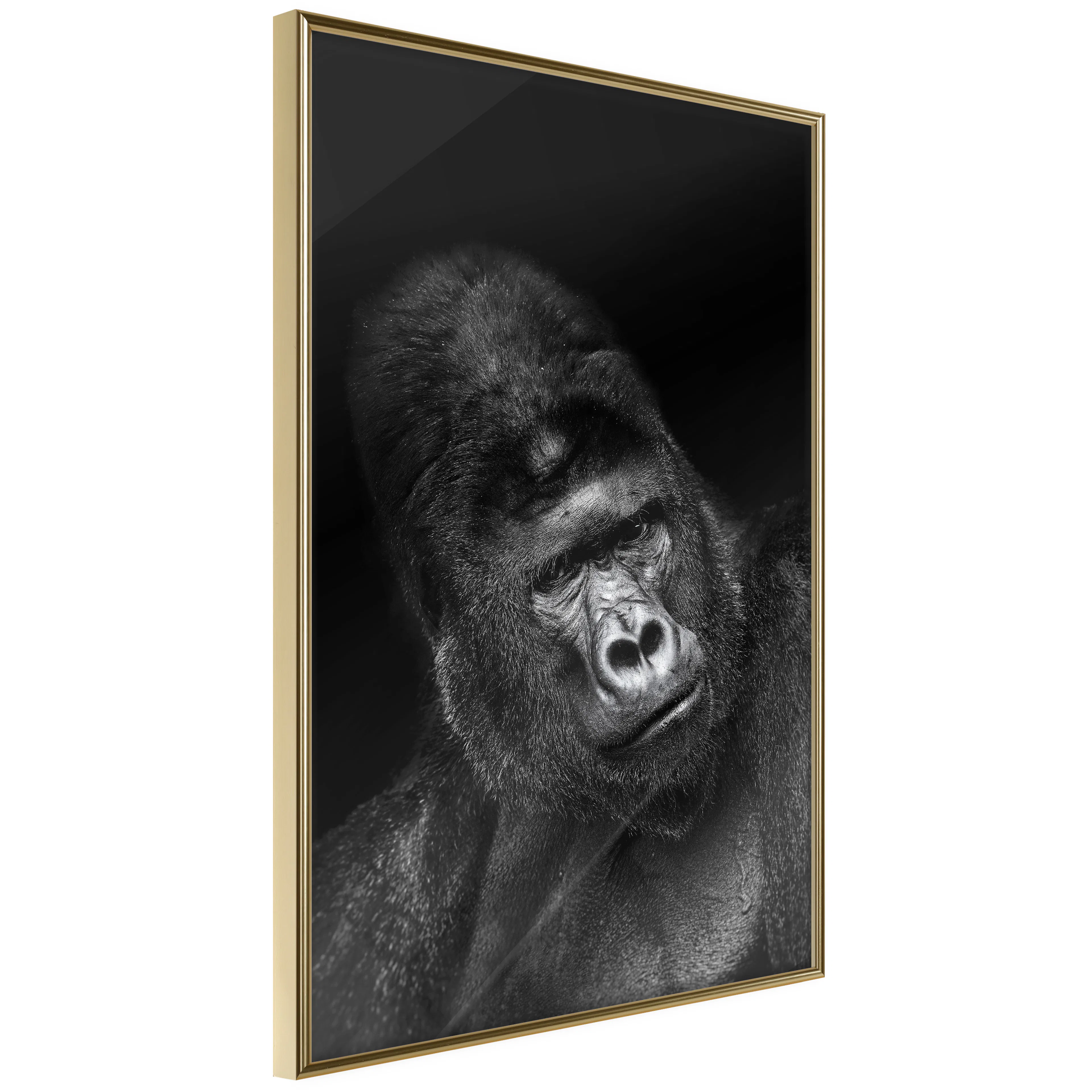 Poster Artgeist Affisch Gorilla