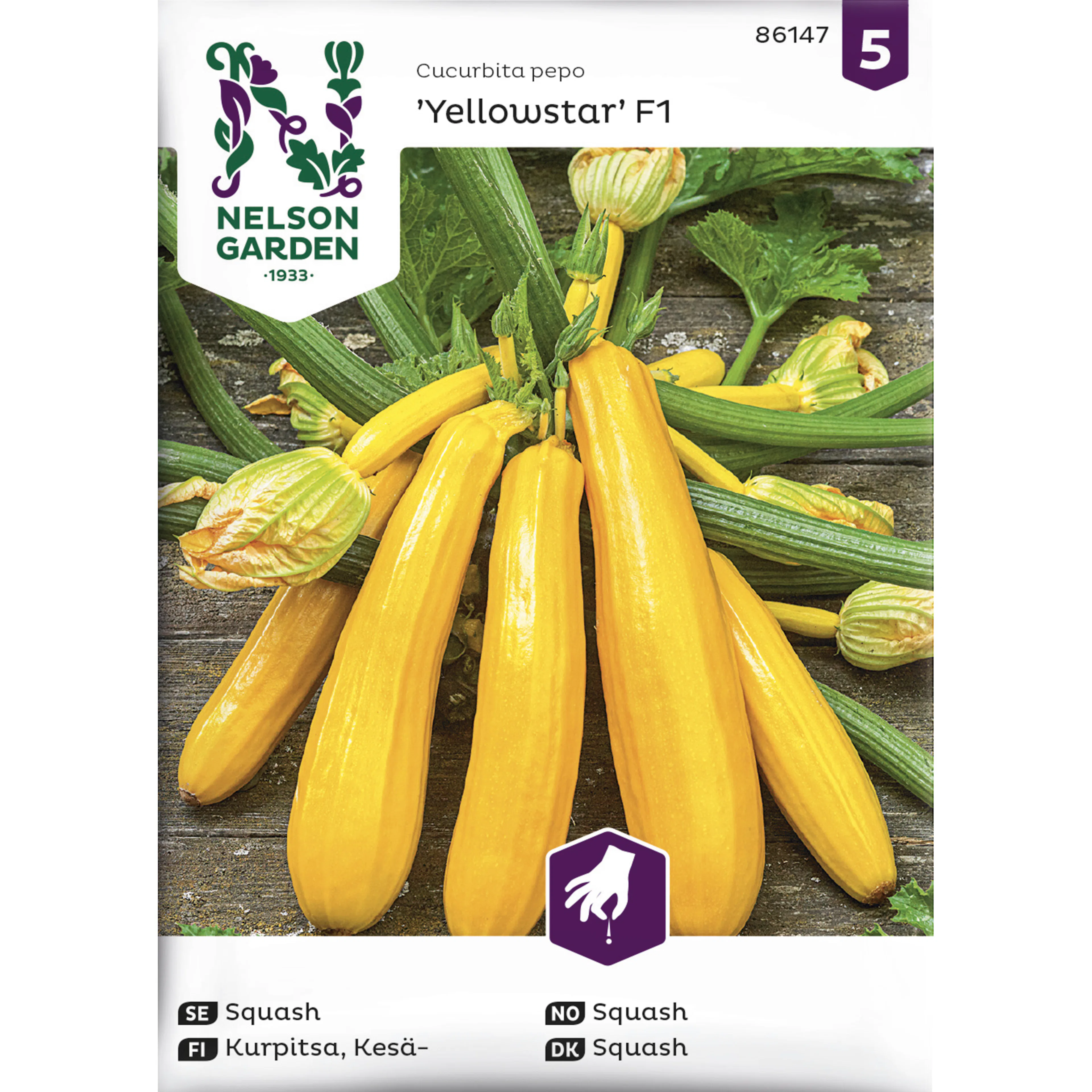 Frö Nelson Garden Squash Yellowstar F1