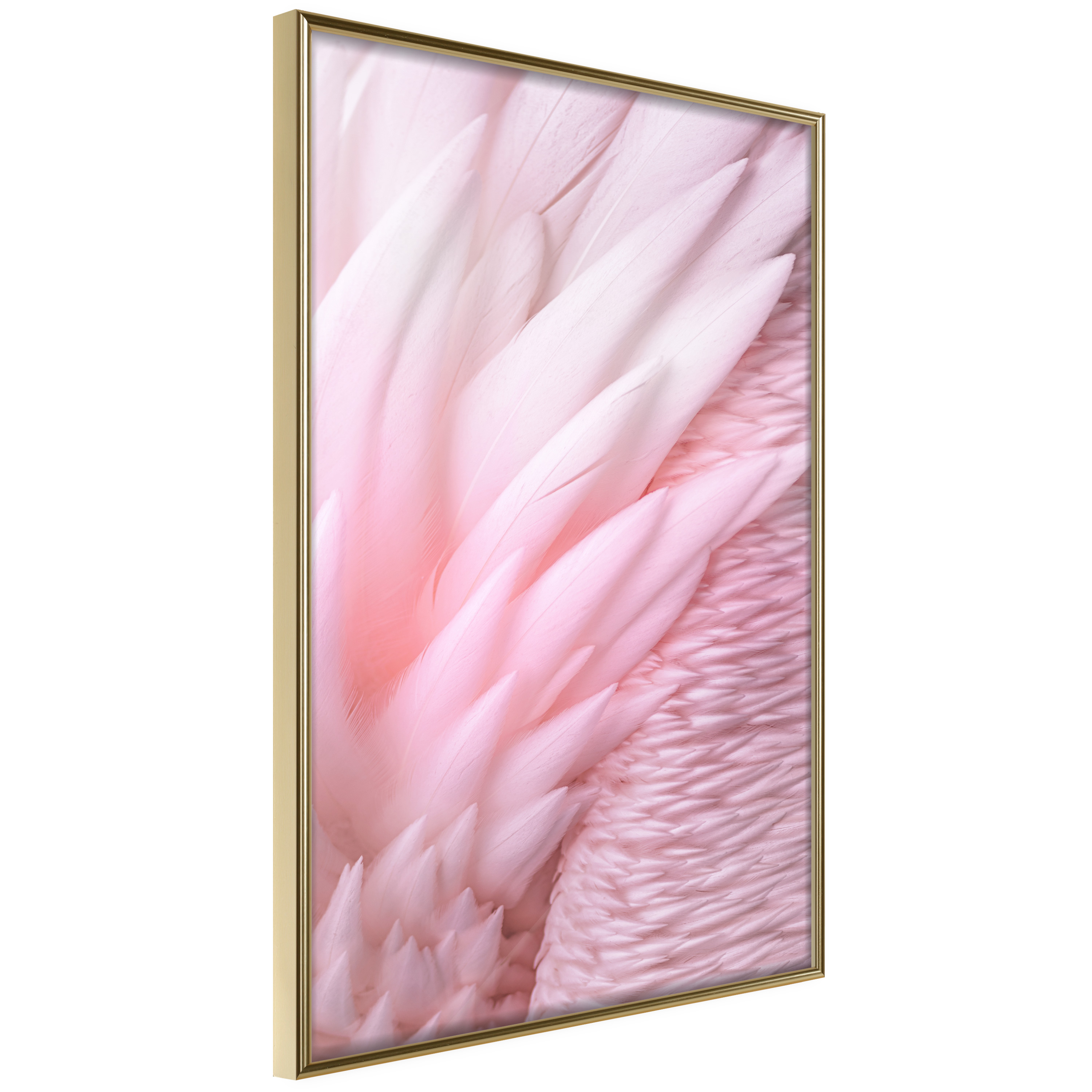 Affisch - Feathers [Poster] 20x30 Guld ram, 20x30 cm