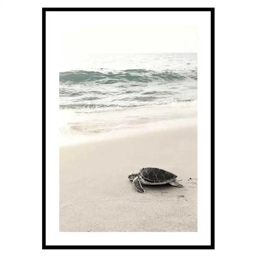 Poster Gallerix Sea Turtle On Beach