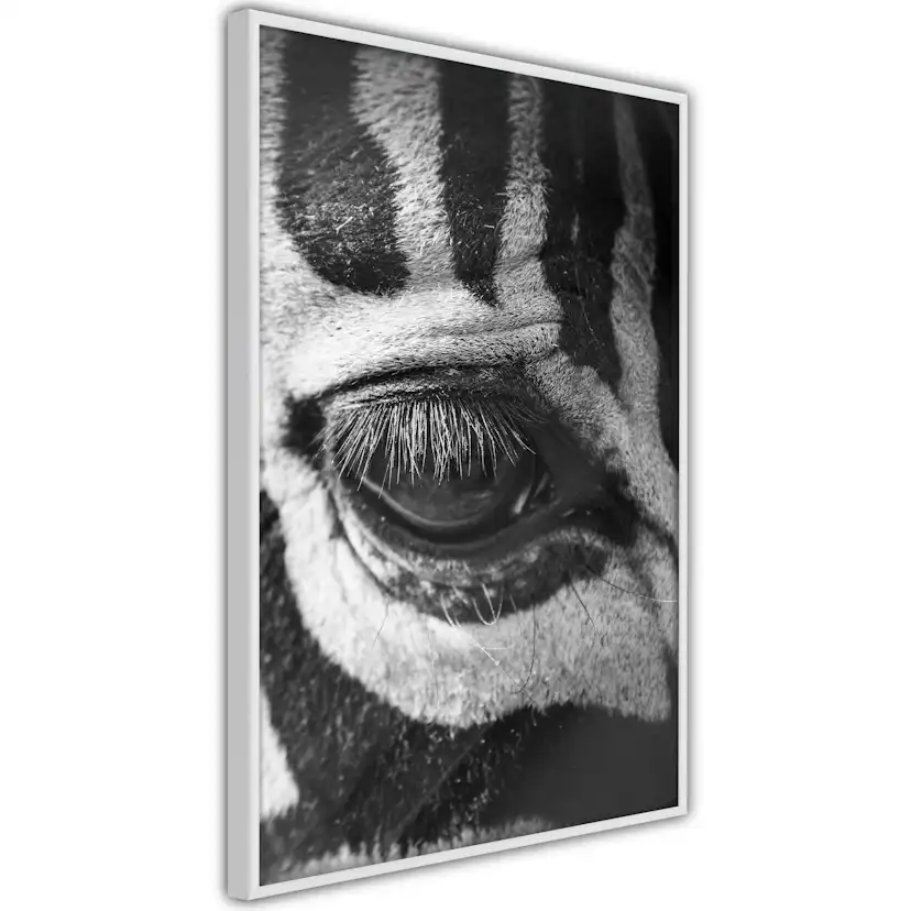 Poster Artgeist Affisch Zebra Eye