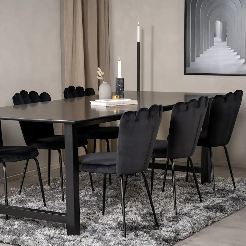 Matgrupp furniture/fashion Clara med 6 Limhamn Light Stolar